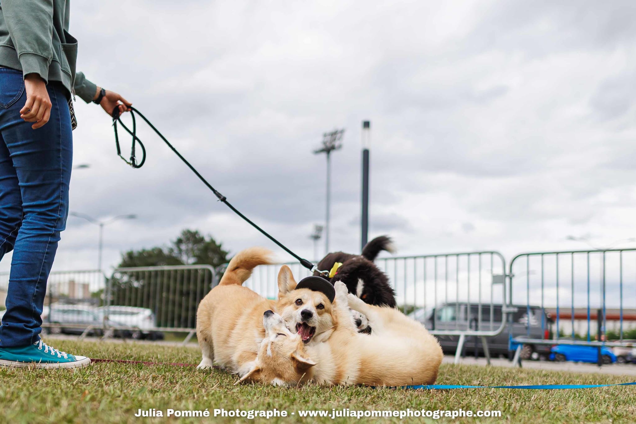 Photo du salon 2025 par Julia Pommé Photographe.