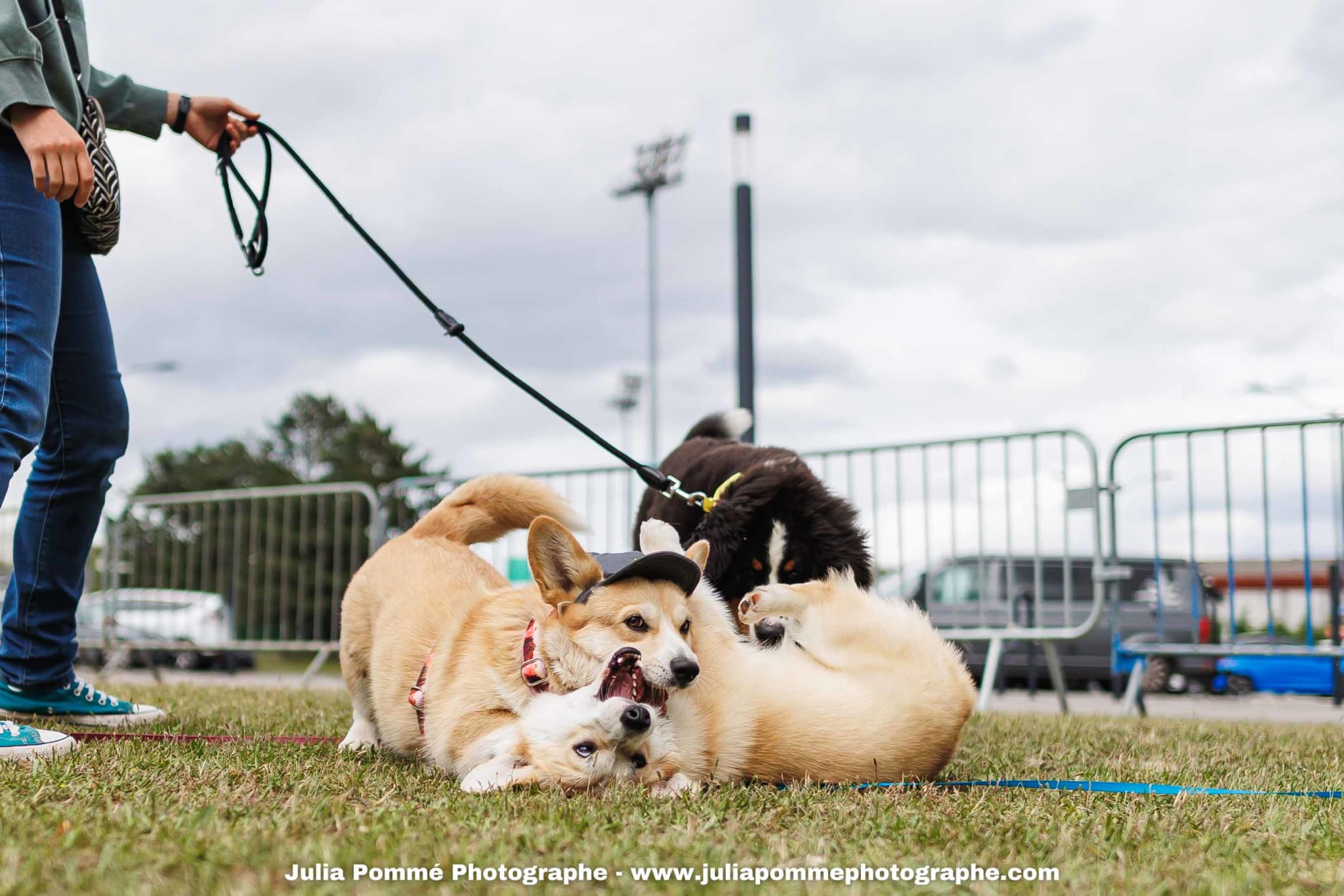 Photo du salon 2025 par Julia Pommé Photographe.
