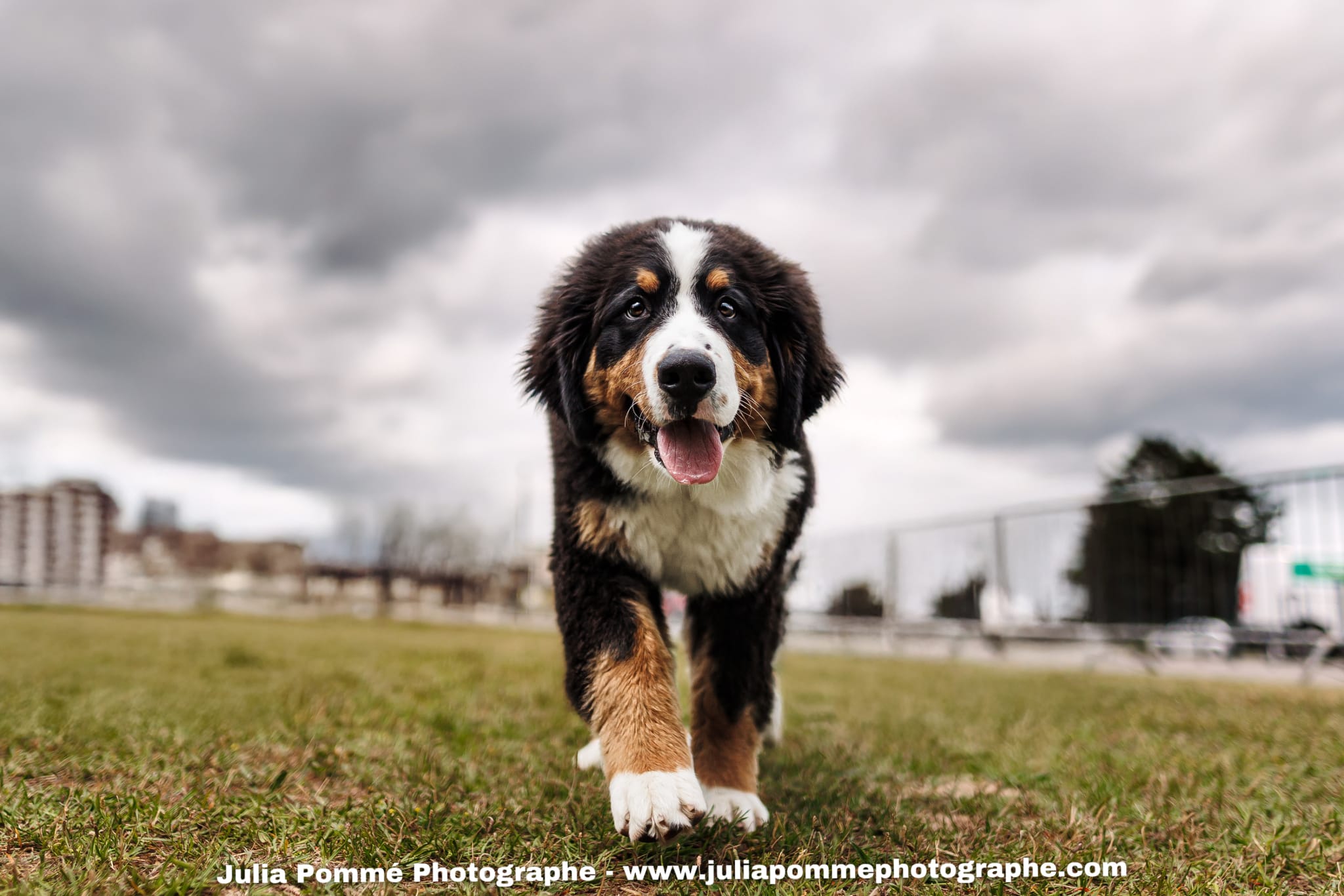 Photo du salon 2025 par Julia Pommé Photographe.