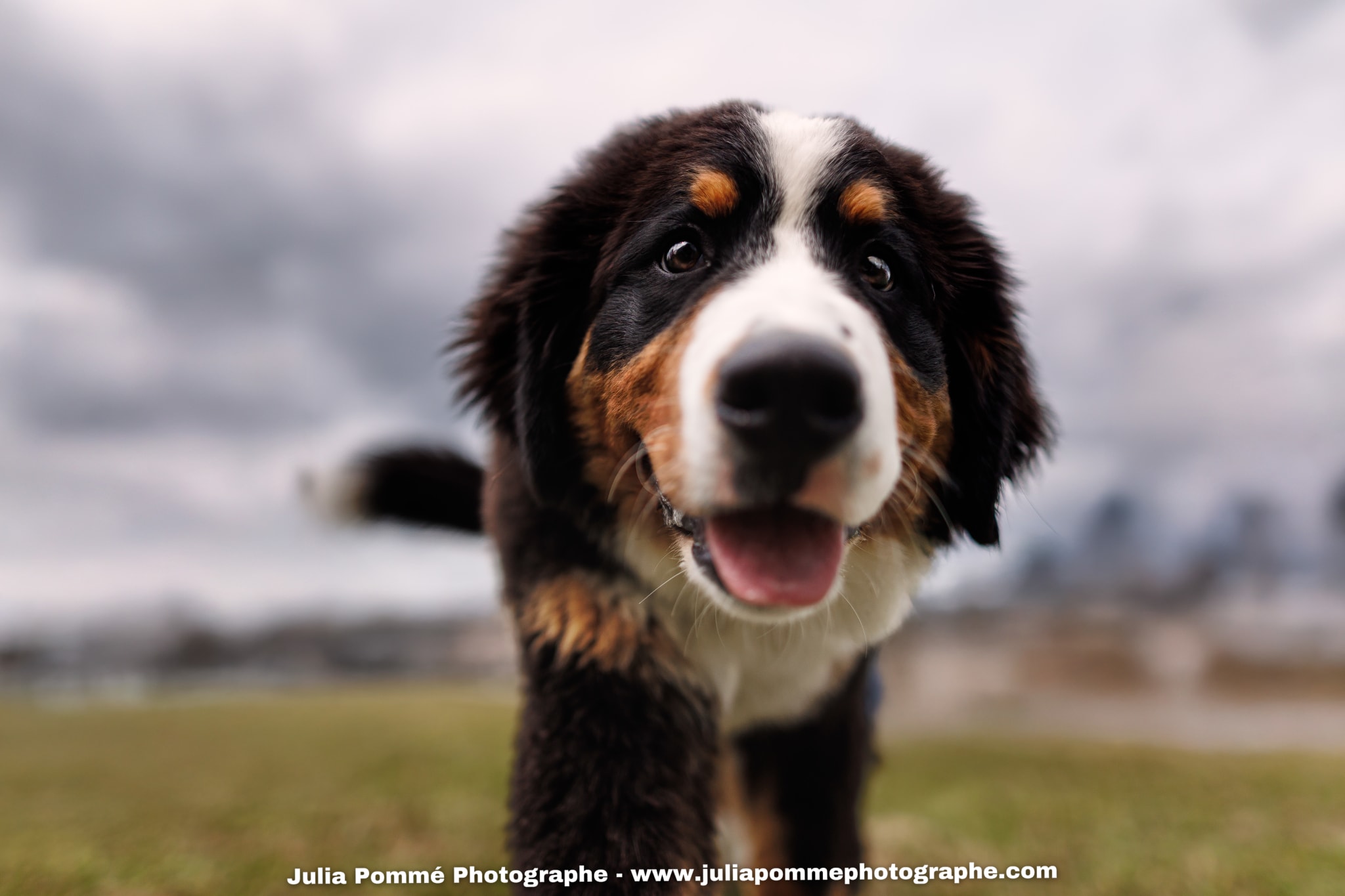Photo du salon 2025 par Julia Pommé Photographe.