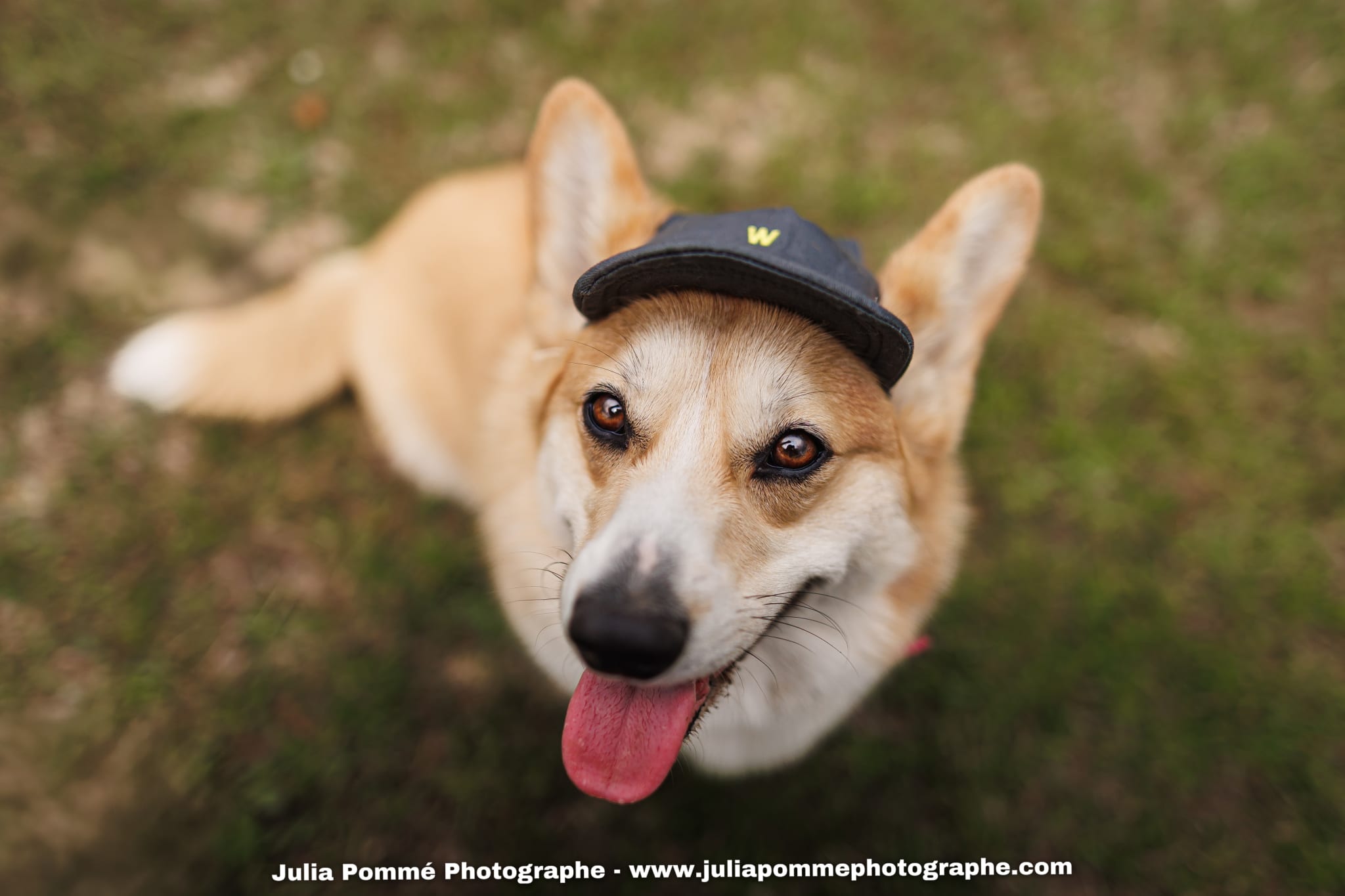 Photo du salon 2025 par Julia Pommé Photographe.