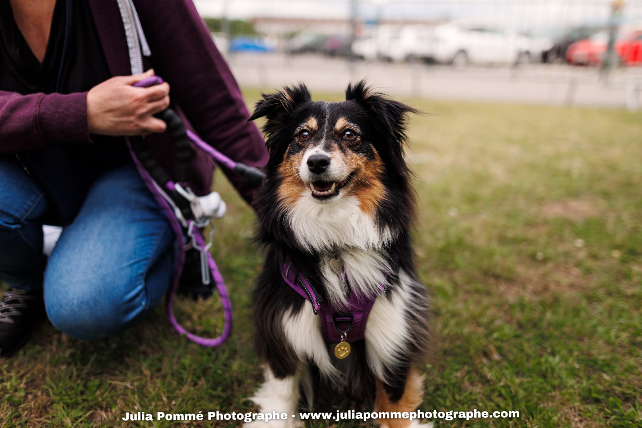 Photo du salon 2025 par Julia Pommé Photographe.
