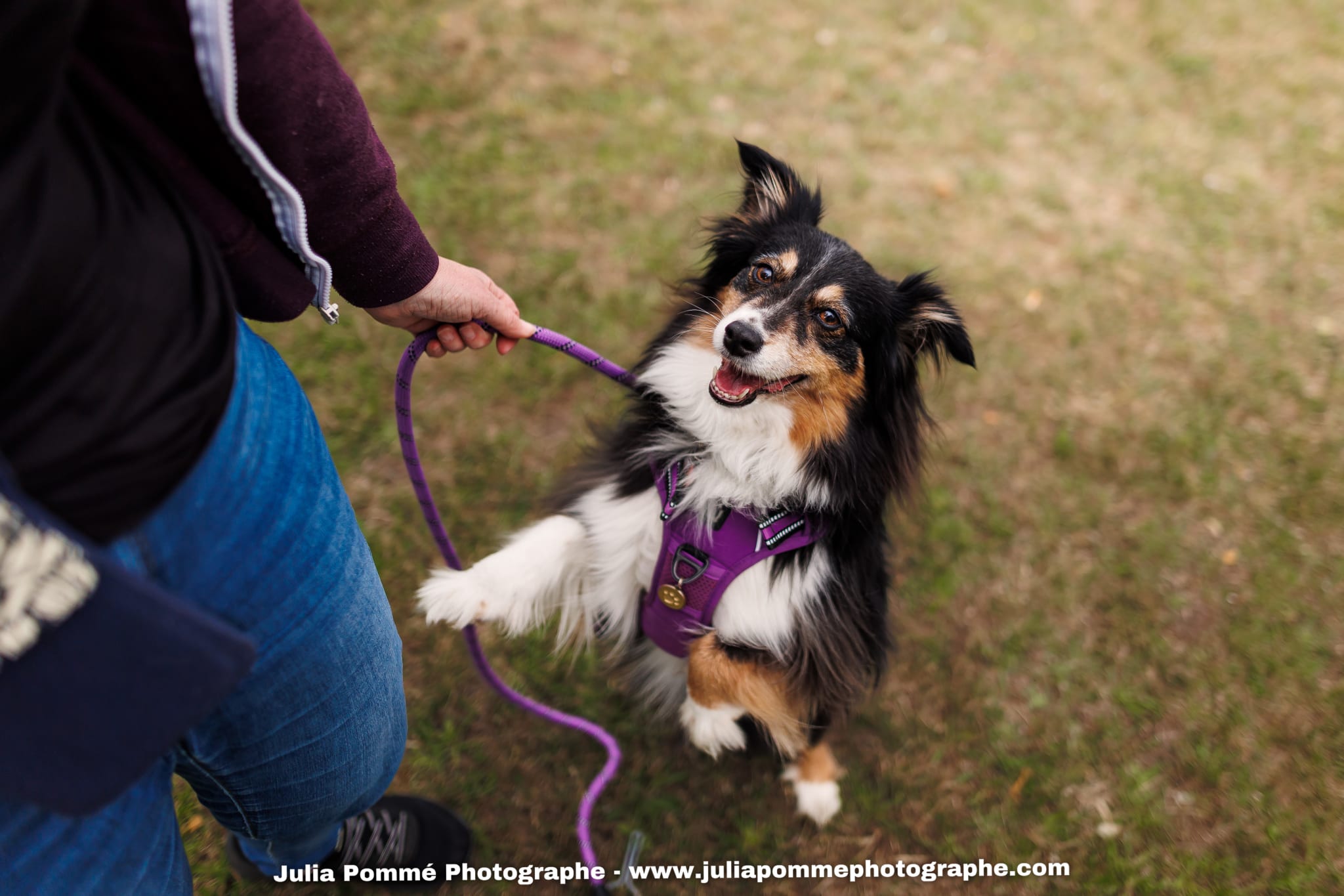 Photo du salon 2025 par Julia Pommé Photographe.