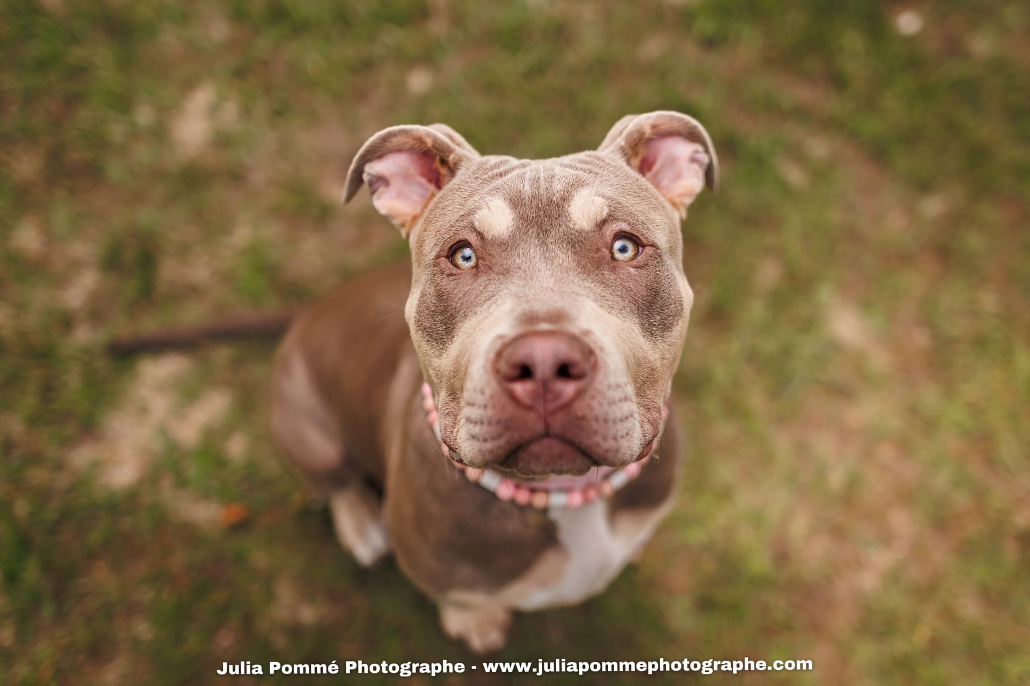 Photo du salon 2025 par Julia Pommé Photographe.