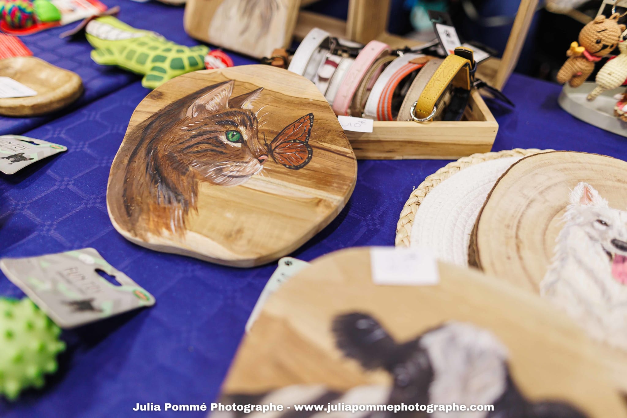 Photo du salon 2025 par Julia Pommé Photographe.