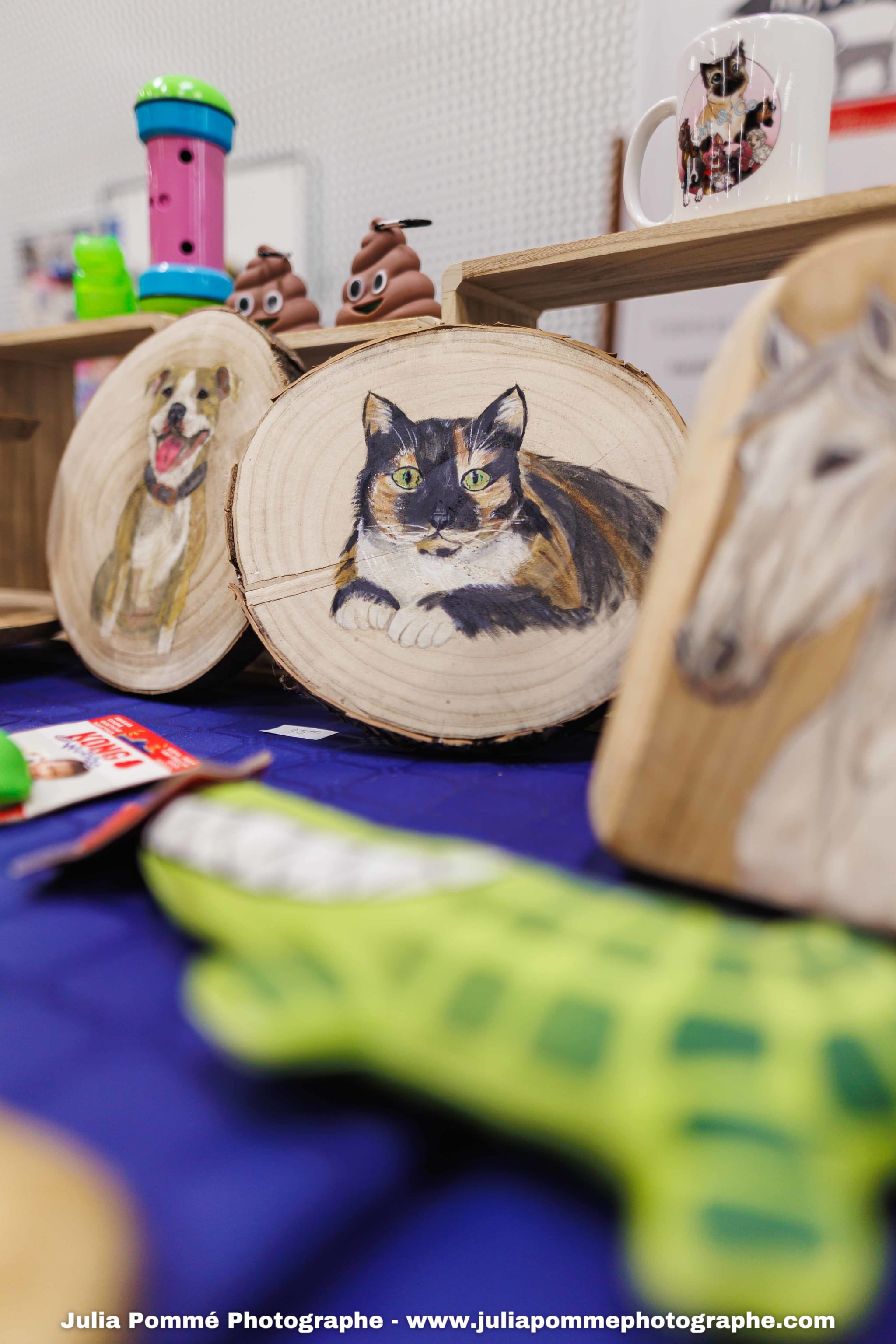 Photo du salon 2025 par Julia Pommé Photographe.