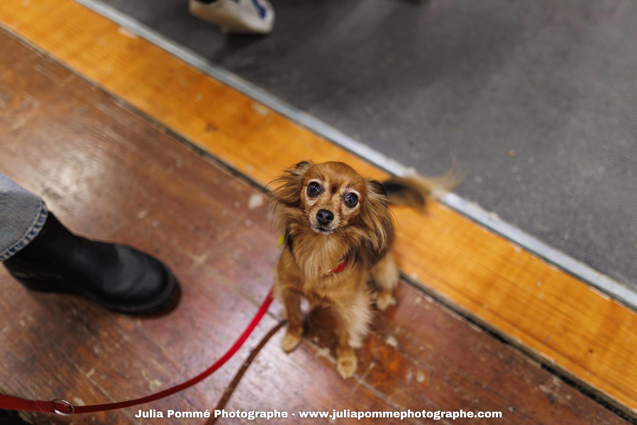 Photo du salon 2025 par Julia Pommé Photographe.