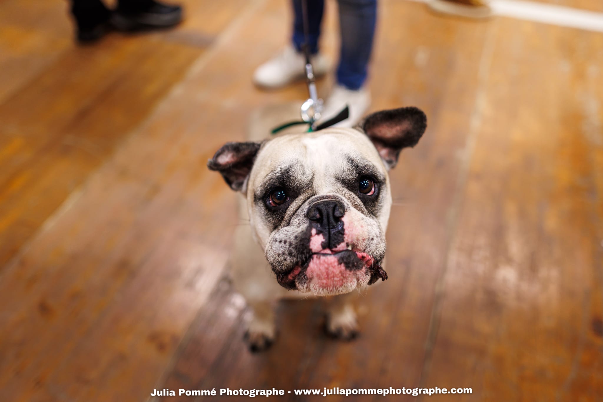 Photo du salon 2025 par Julia Pommé Photographe.