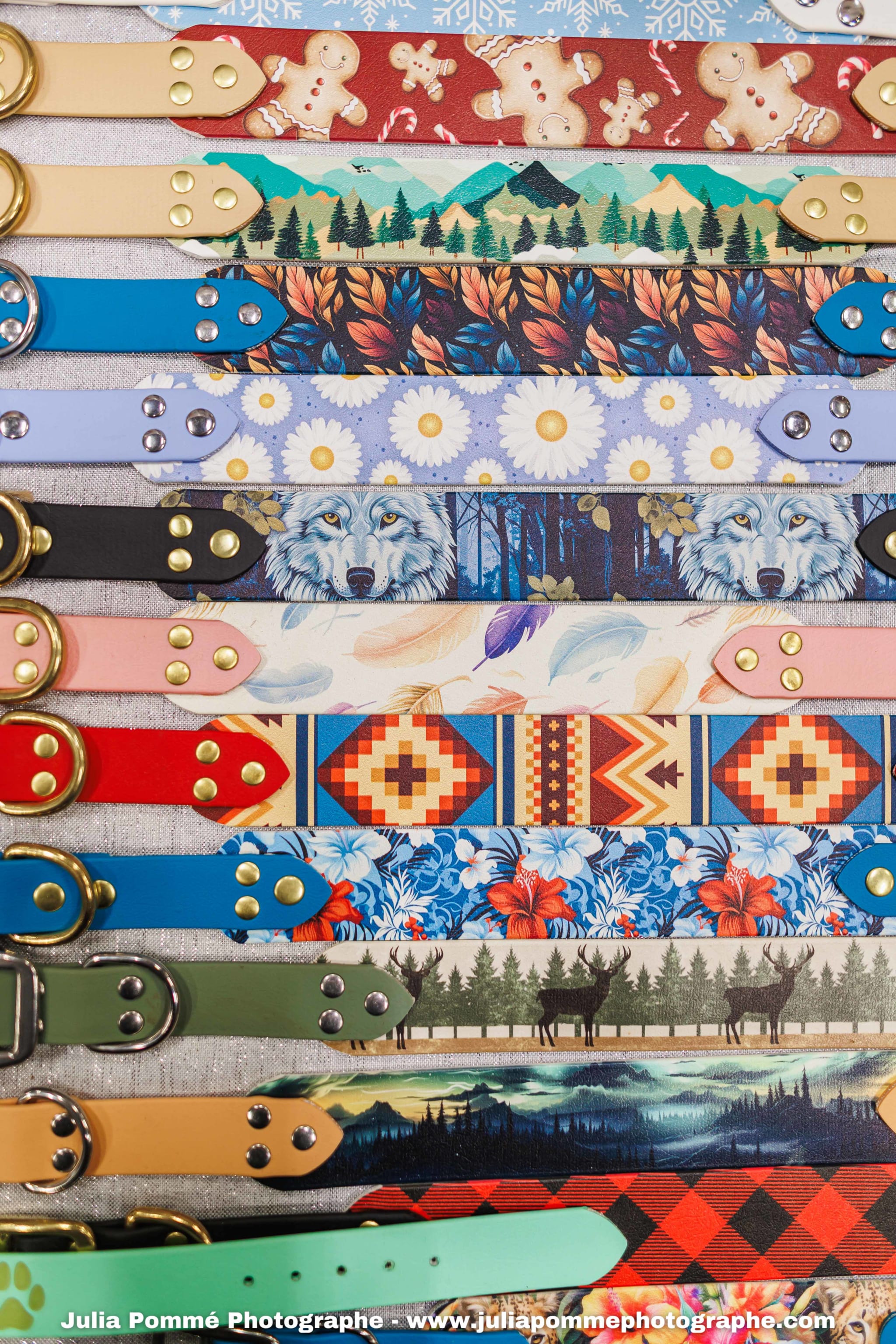 Photo du salon 2025 par Julia Pommé Photographe.