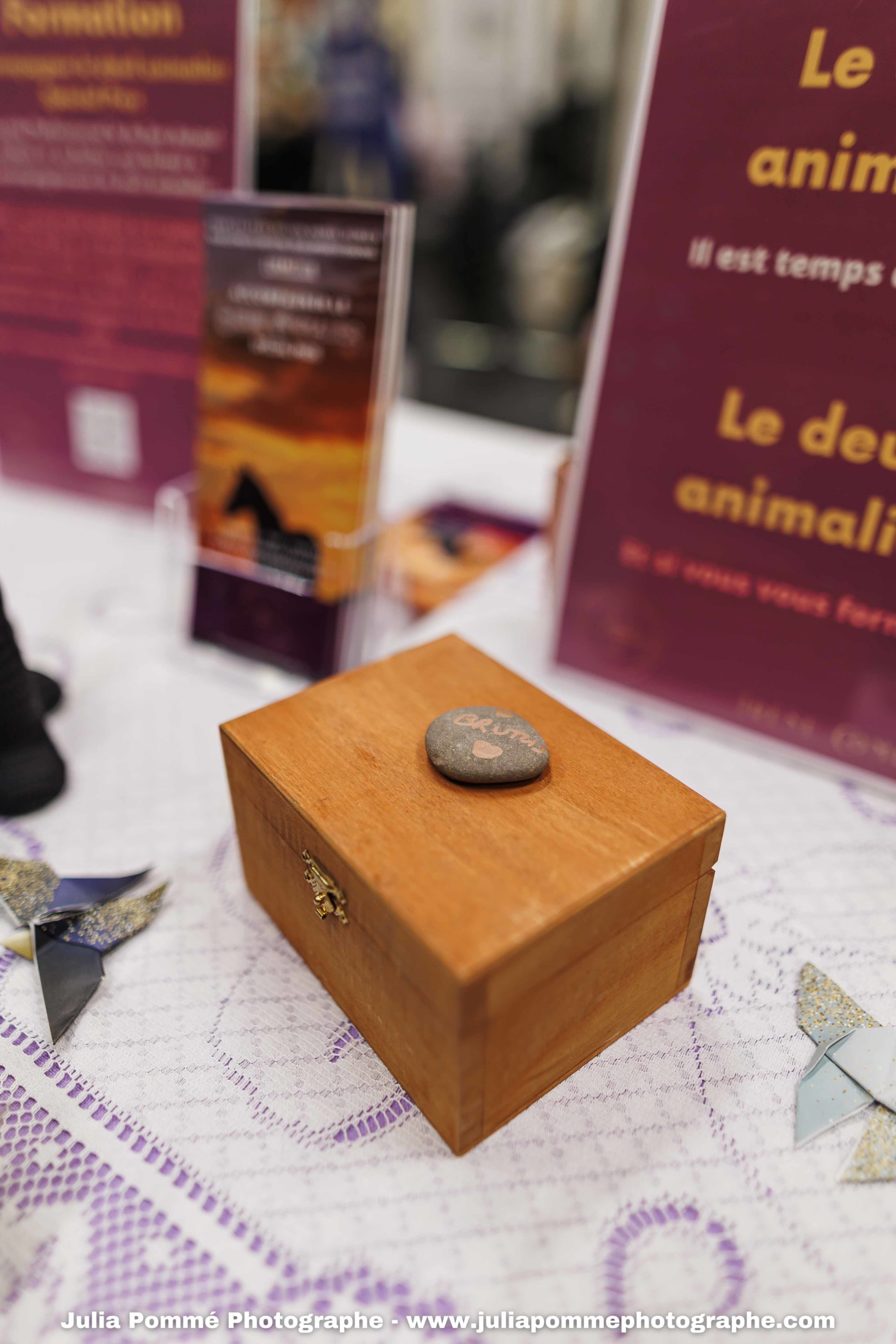 Photo du salon 2025 par Julia Pommé Photographe.