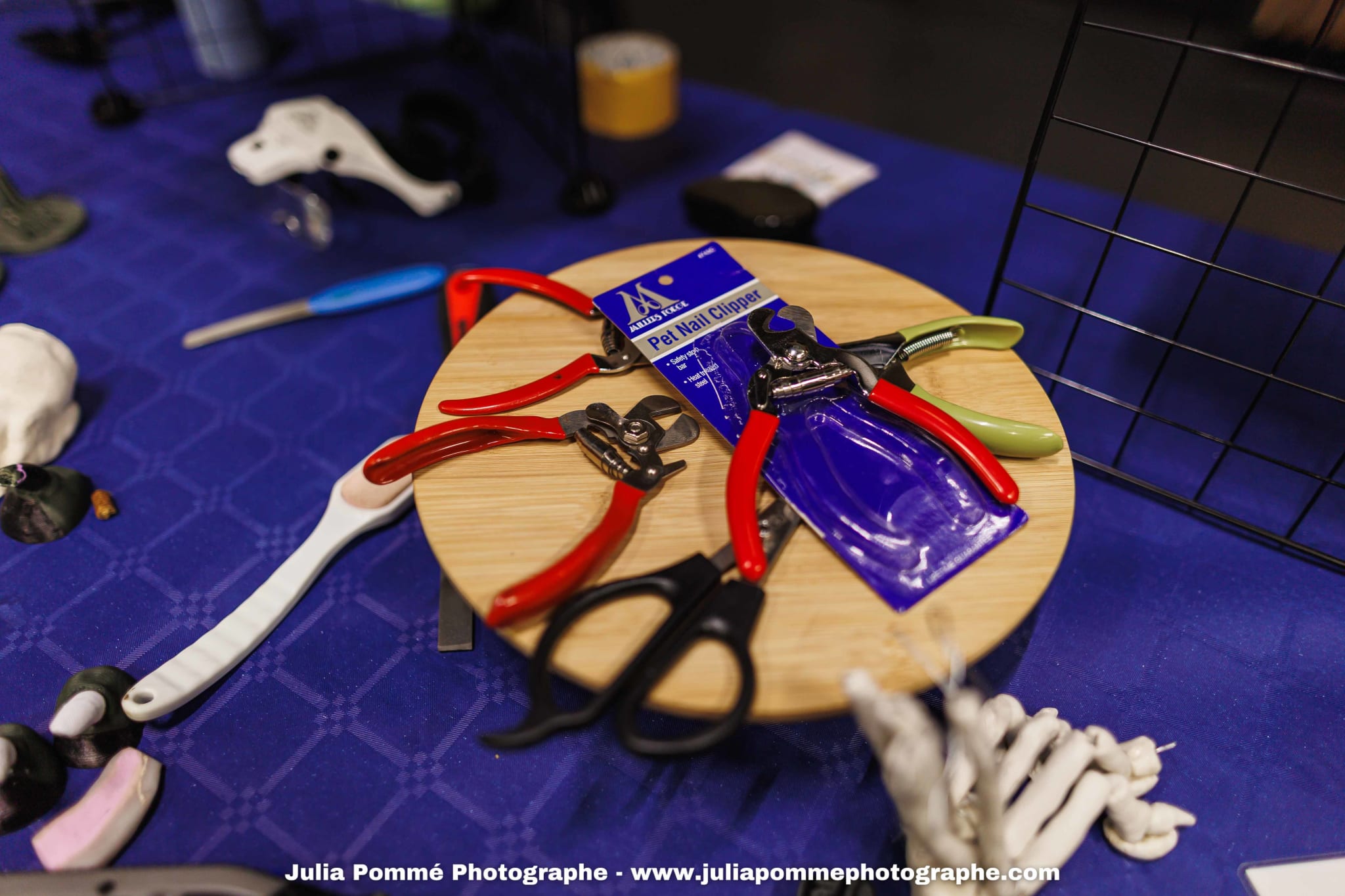 Photo du salon 2025 par Julia Pommé Photographe.