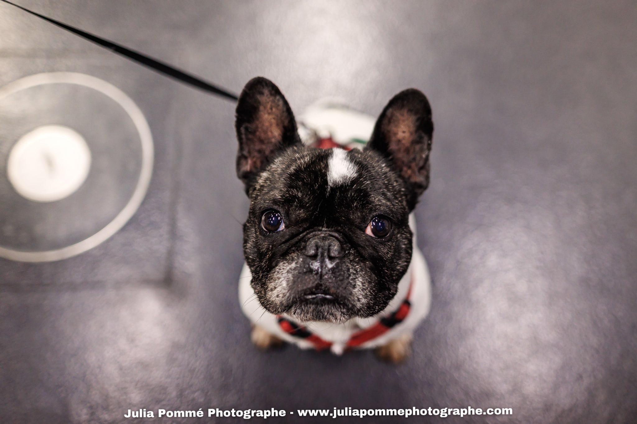 Photo du salon 2025 par Julia Pommé Photographe.