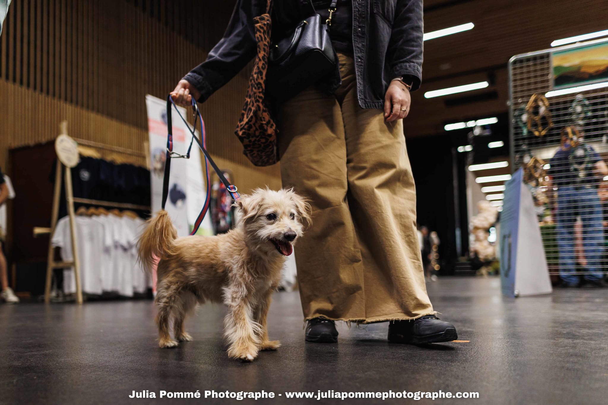Photo du salon 2025 par Julia Pommé Photographe.