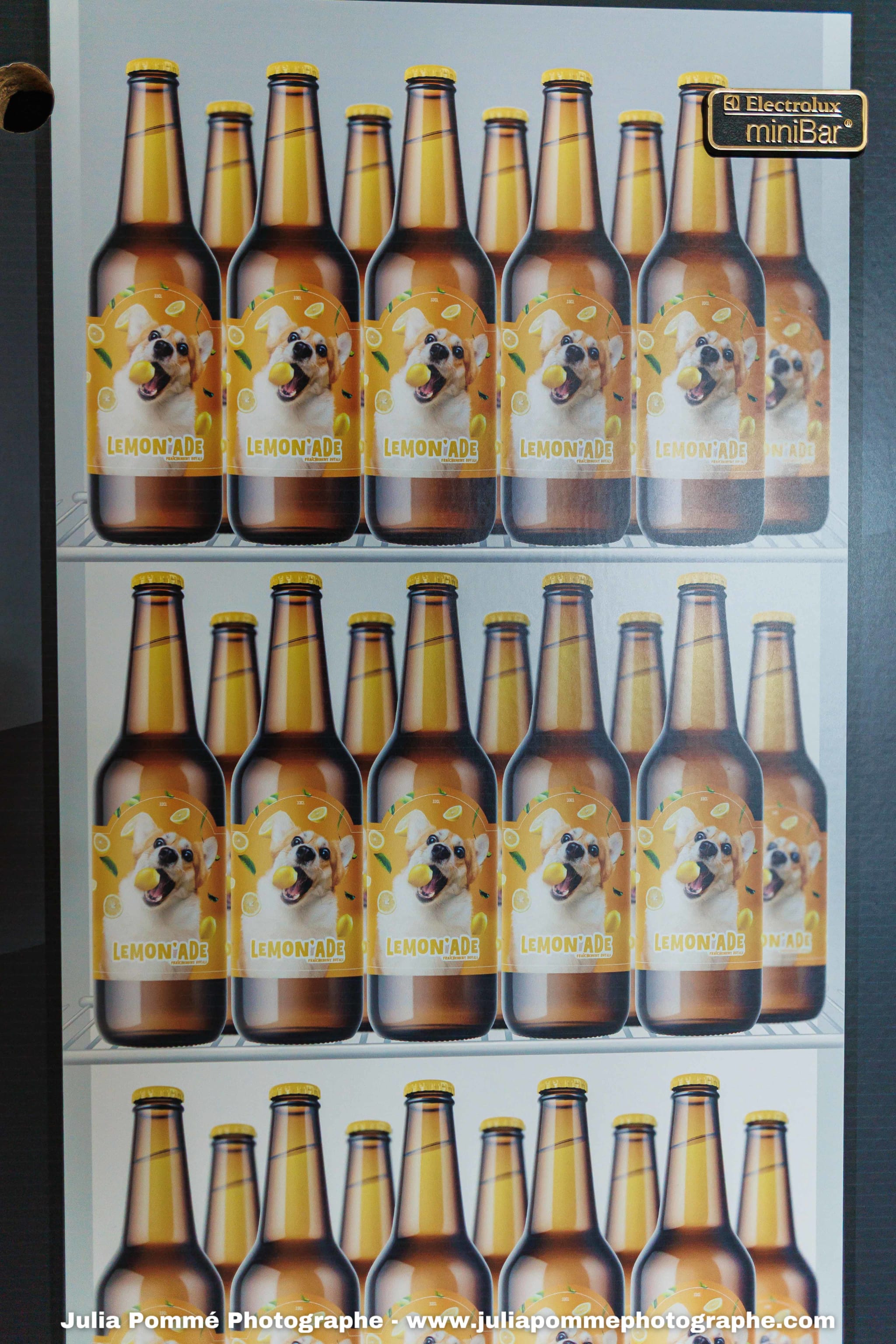 Photo du salon 2025 par Julia Pommé Photographe.