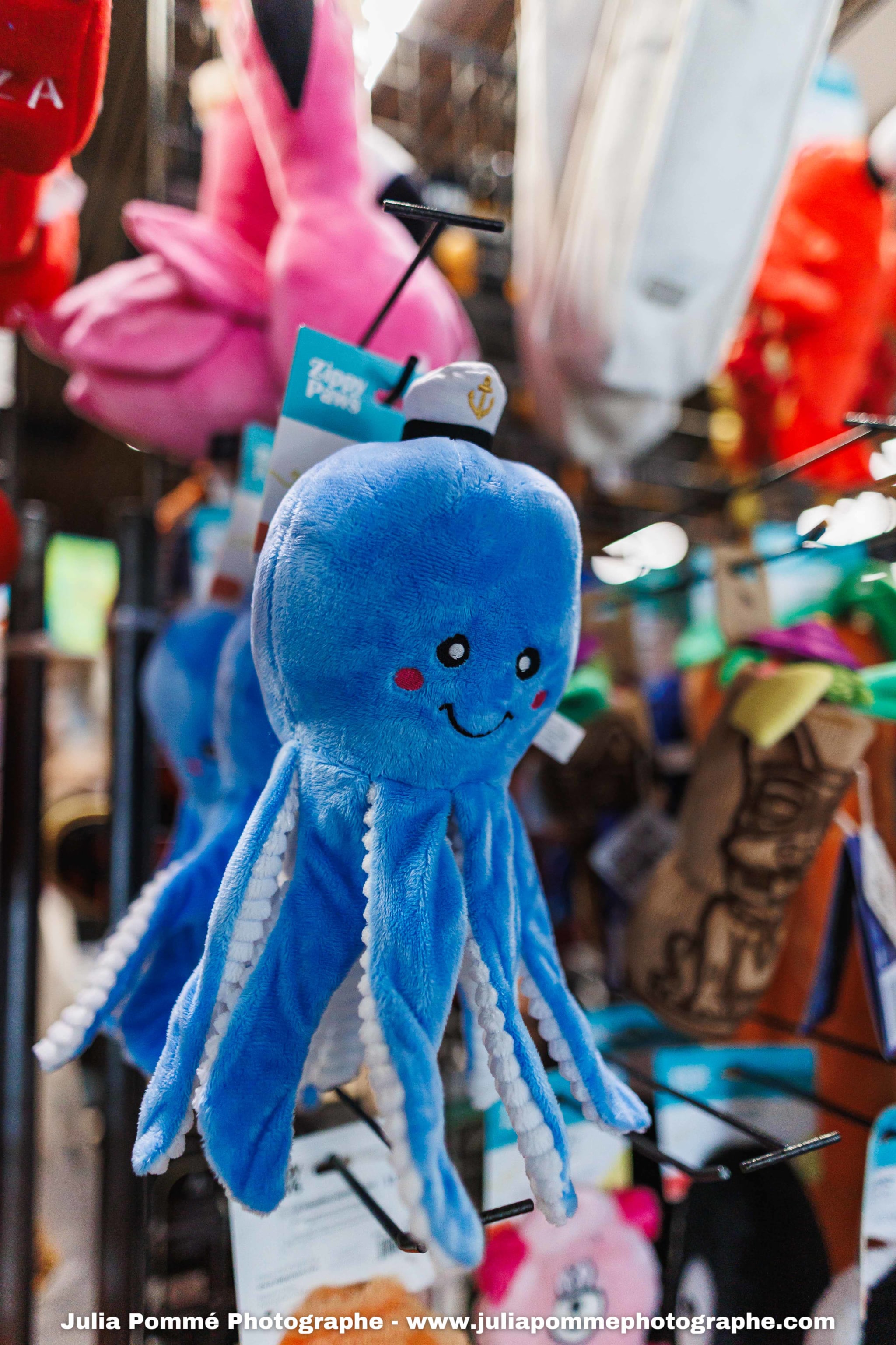 Photo du salon 2025 par Julia Pommé Photographe.