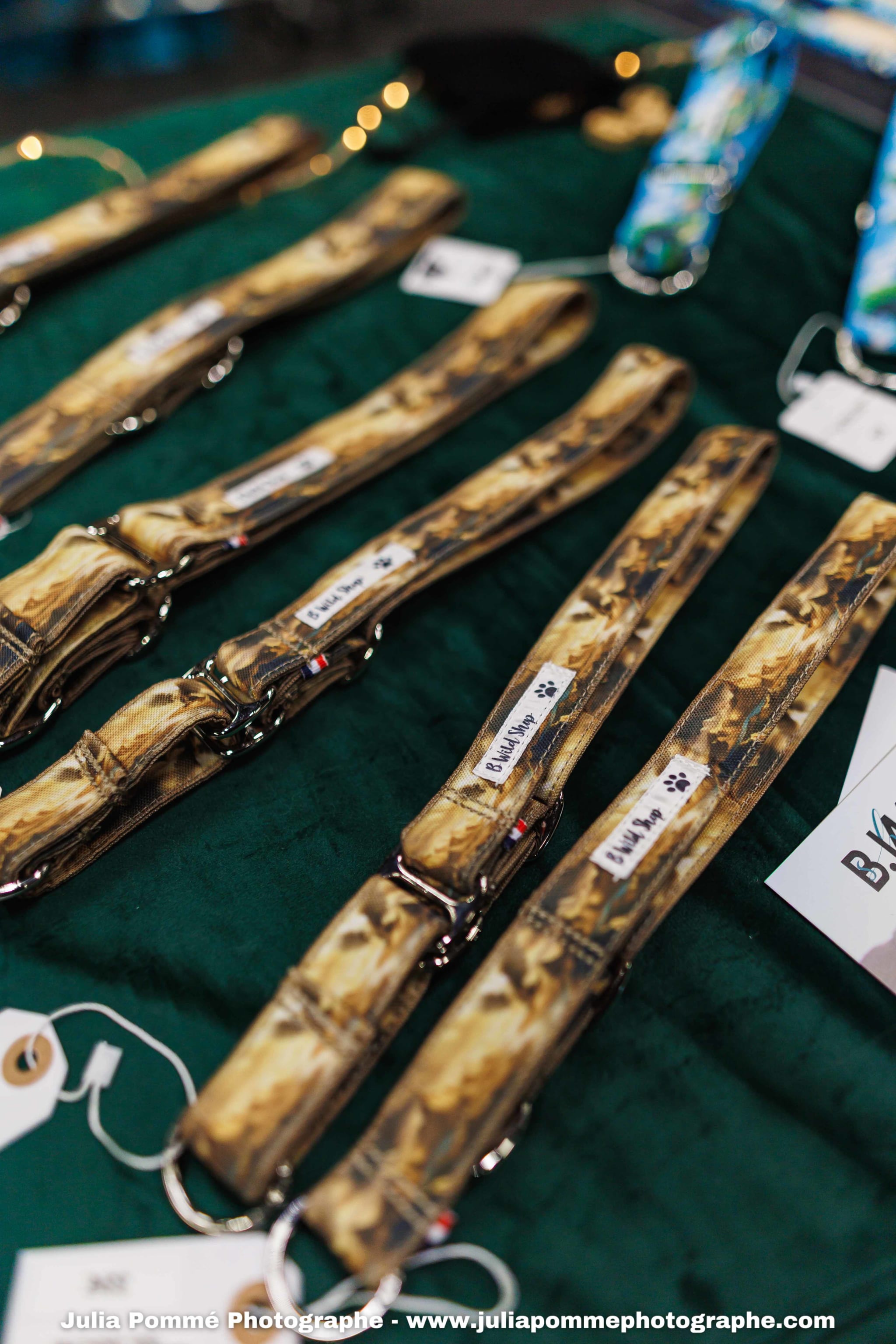 Photo du salon 2025 par Julia Pommé Photographe.