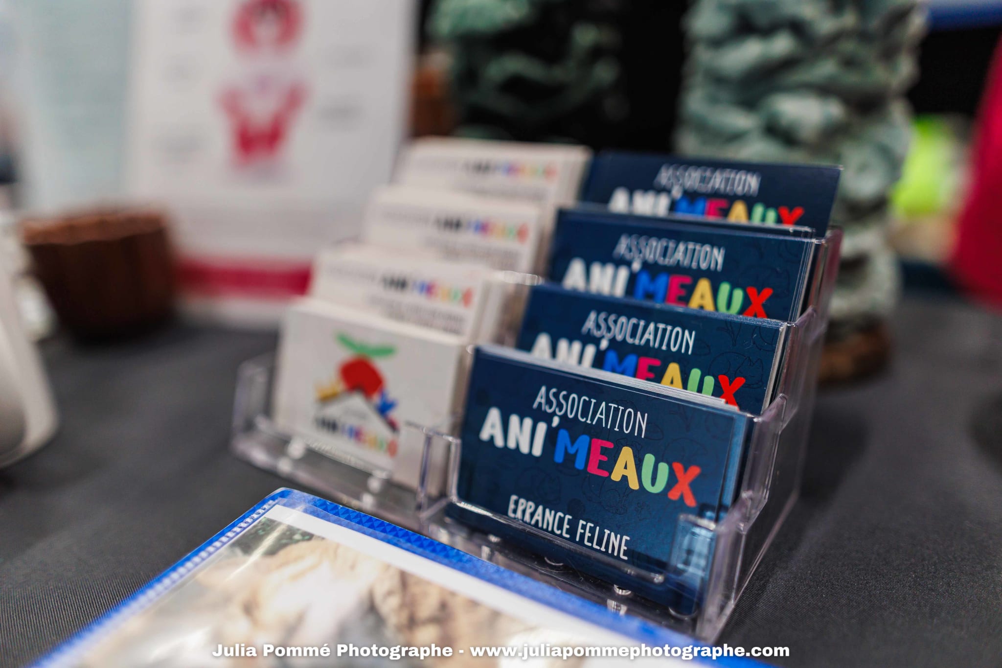 Photo du salon 2025 par Julia Pommé Photographe.