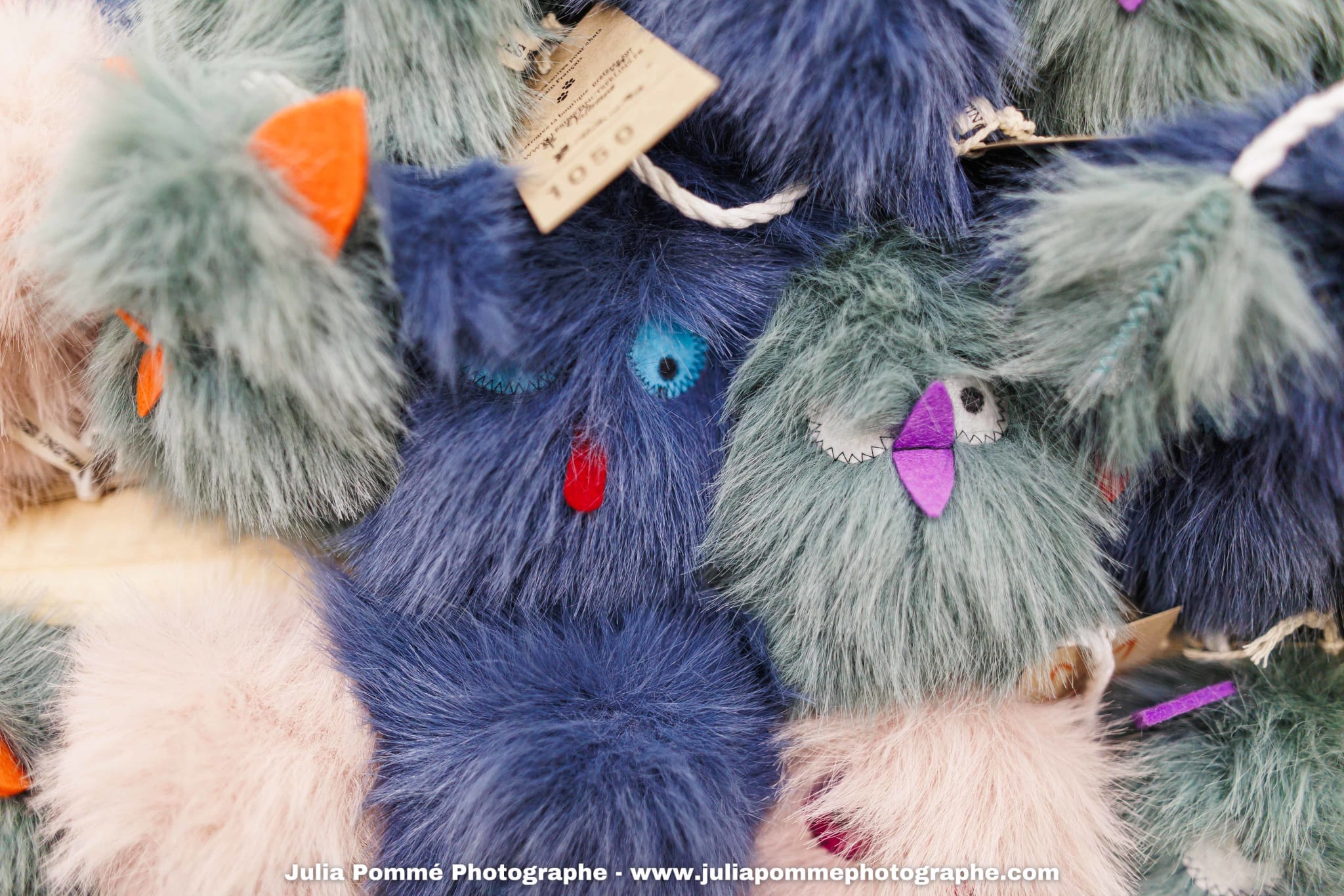 Photo du salon 2025 par Julia Pommé Photographe.