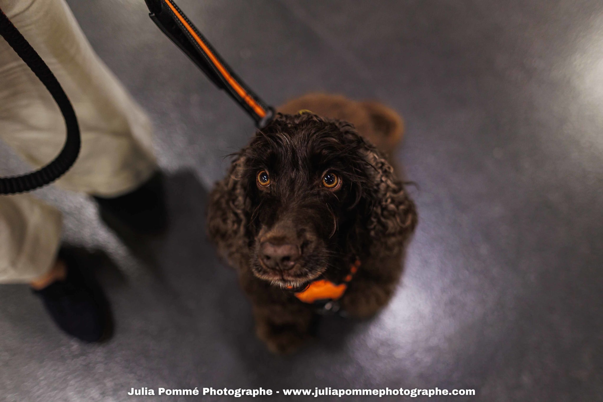 Photo du salon 2025 par Julia Pommé Photographe.