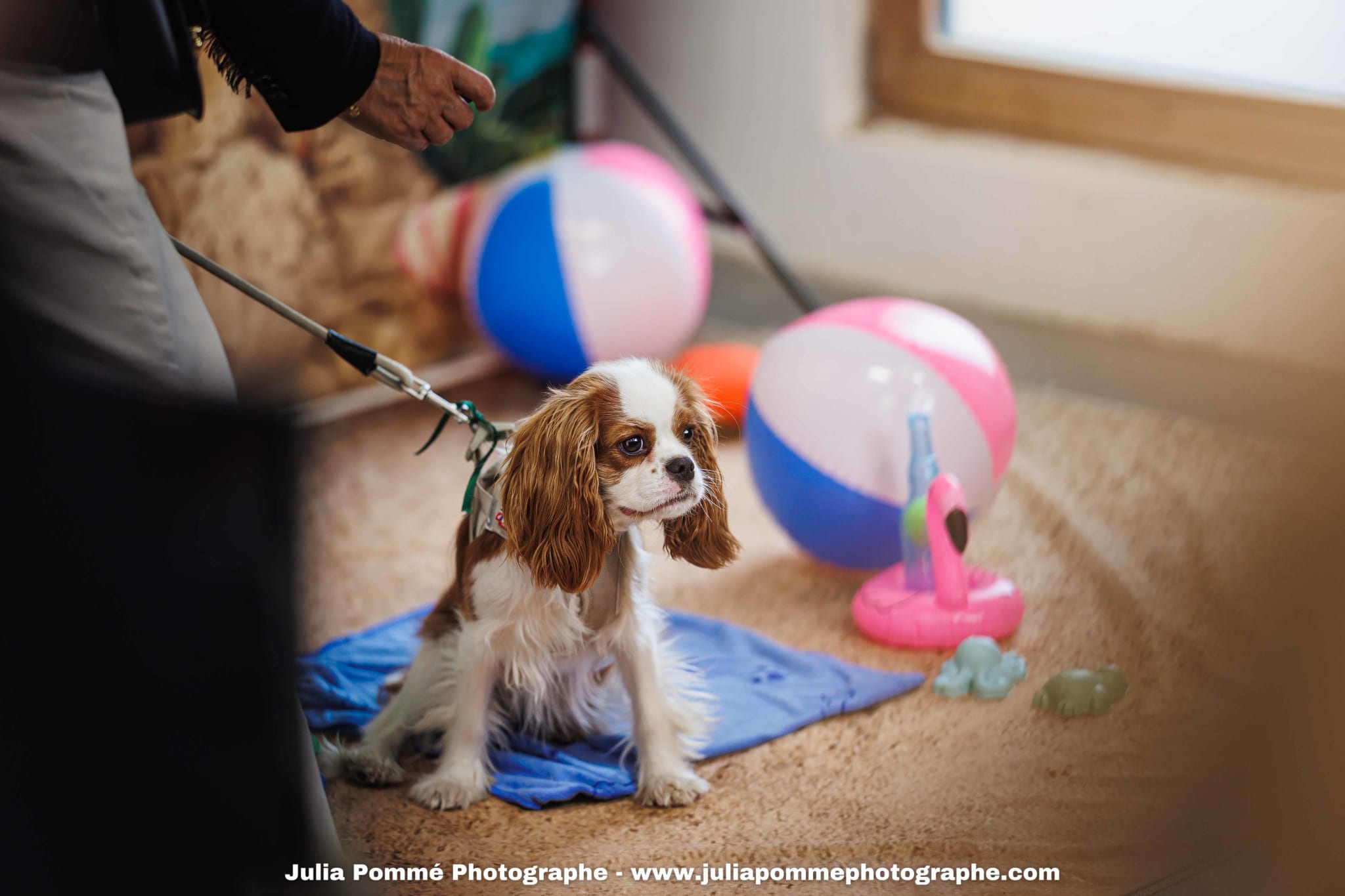 Photo du salon 2025 par Julia Pommé Photographe.
