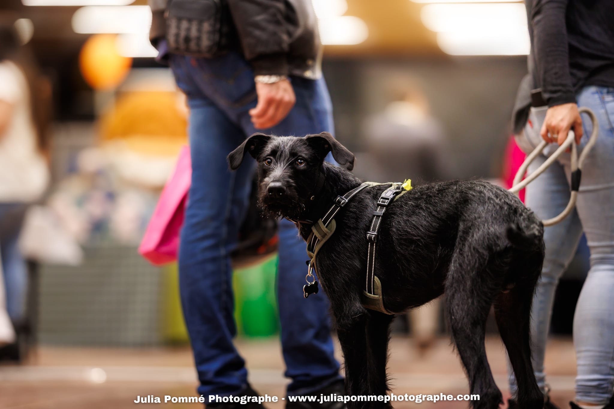 Photo du salon 2025 par Julia Pommé Photographe.