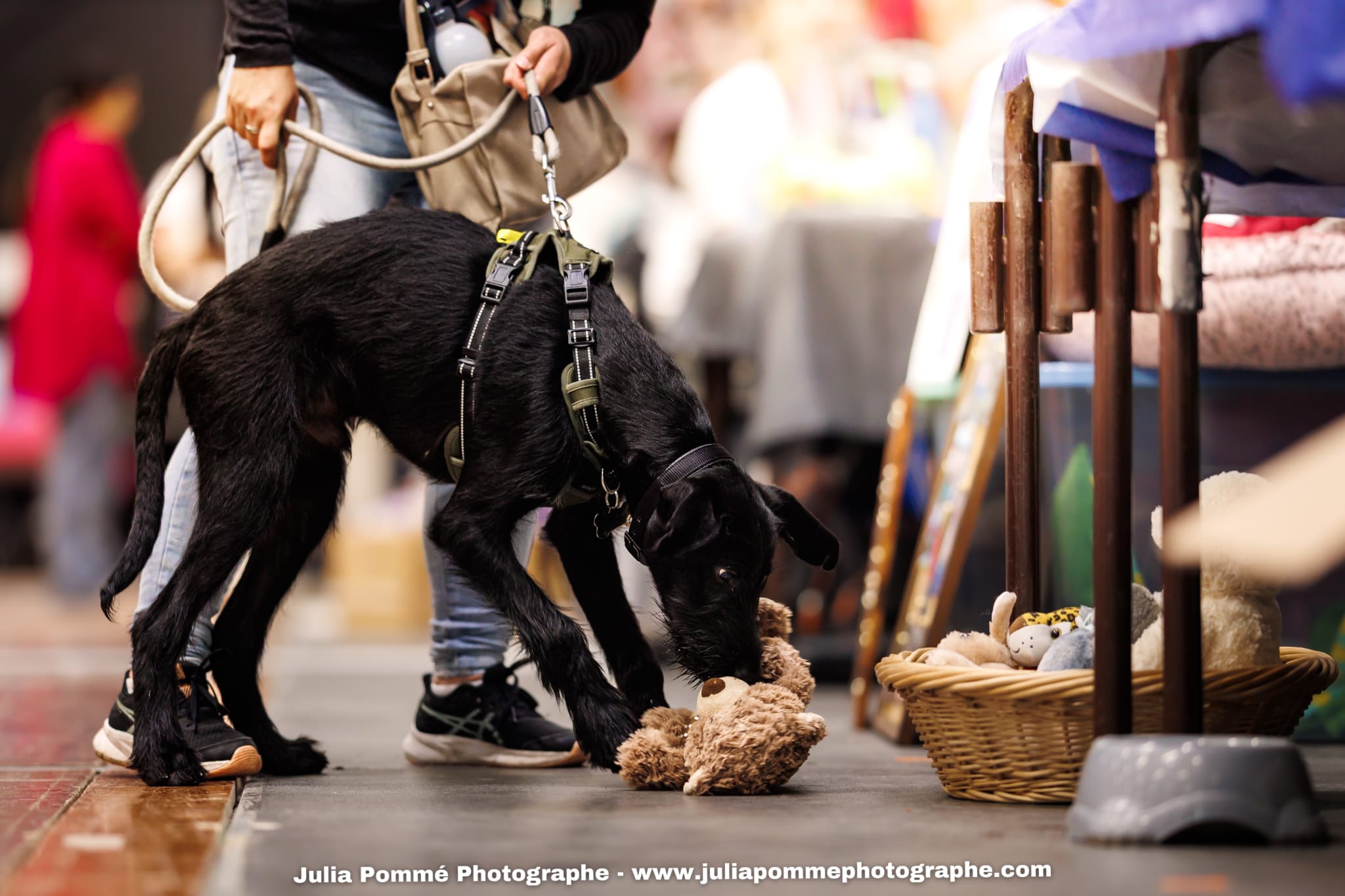 Photo du salon 2025 par Julia Pommé Photographe.