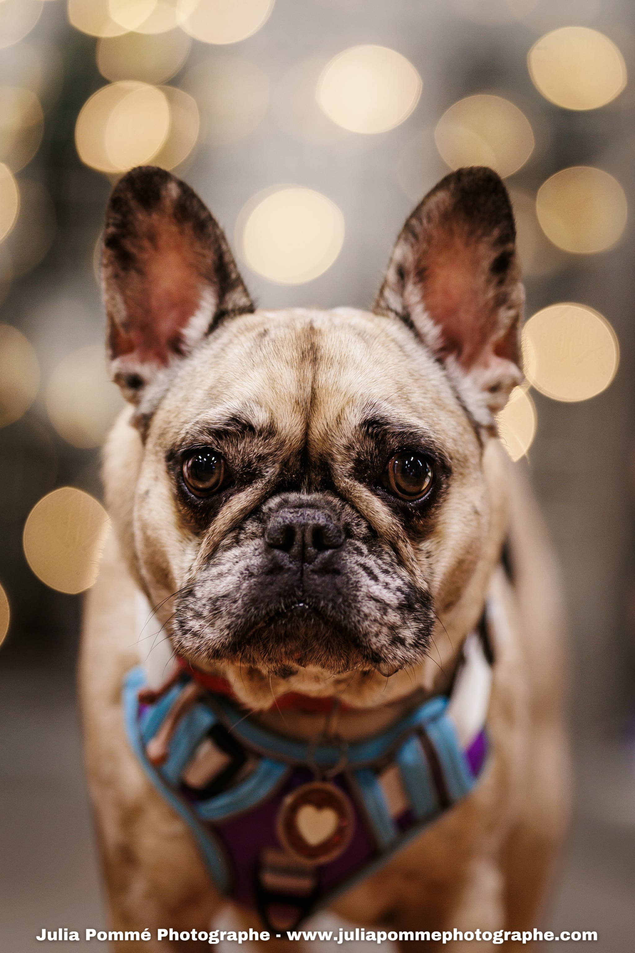 Photo du salon 2025 par Julia Pommé Photographe.