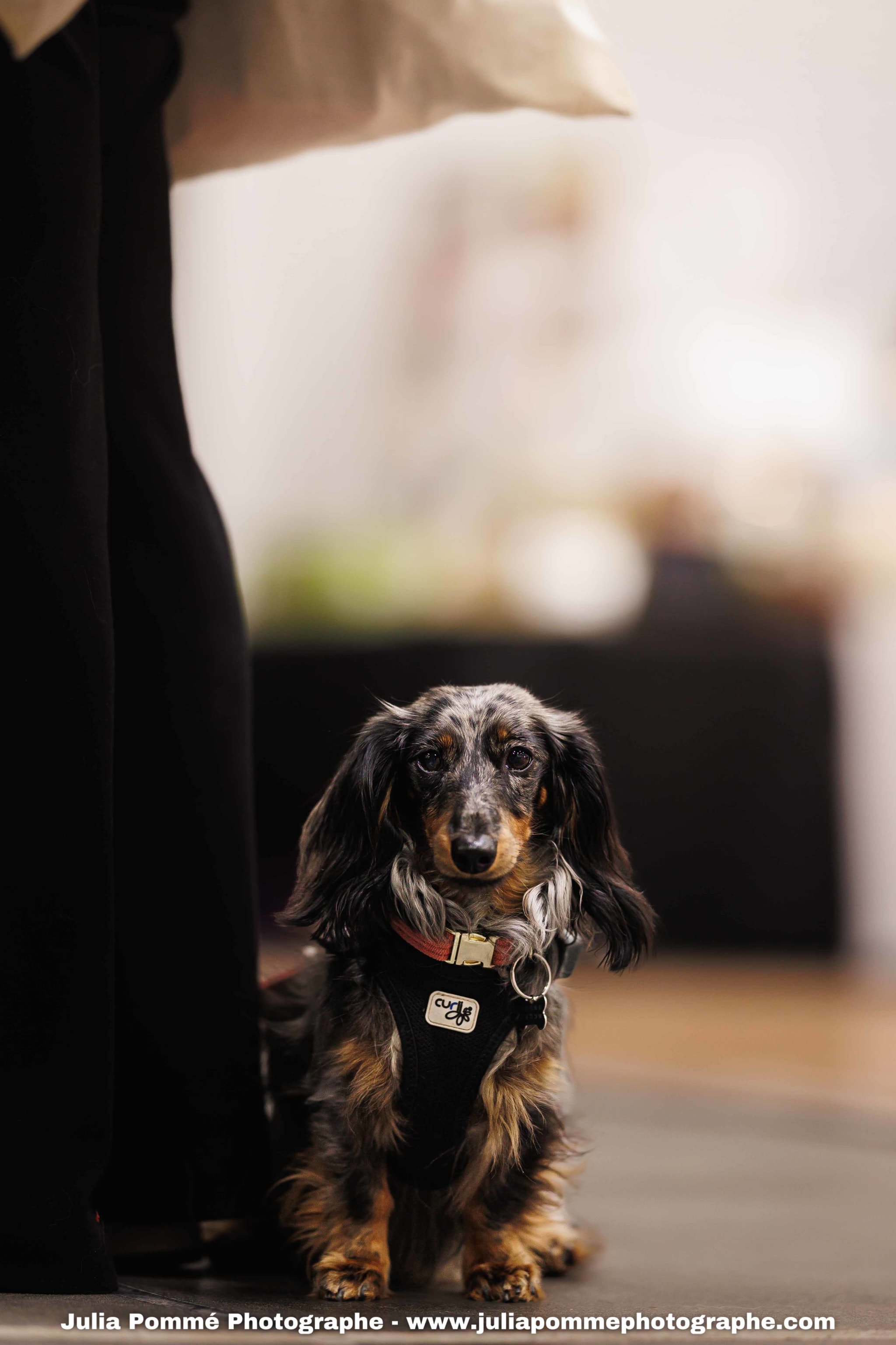 Photo du salon 2025 par Julia Pommé Photographe.