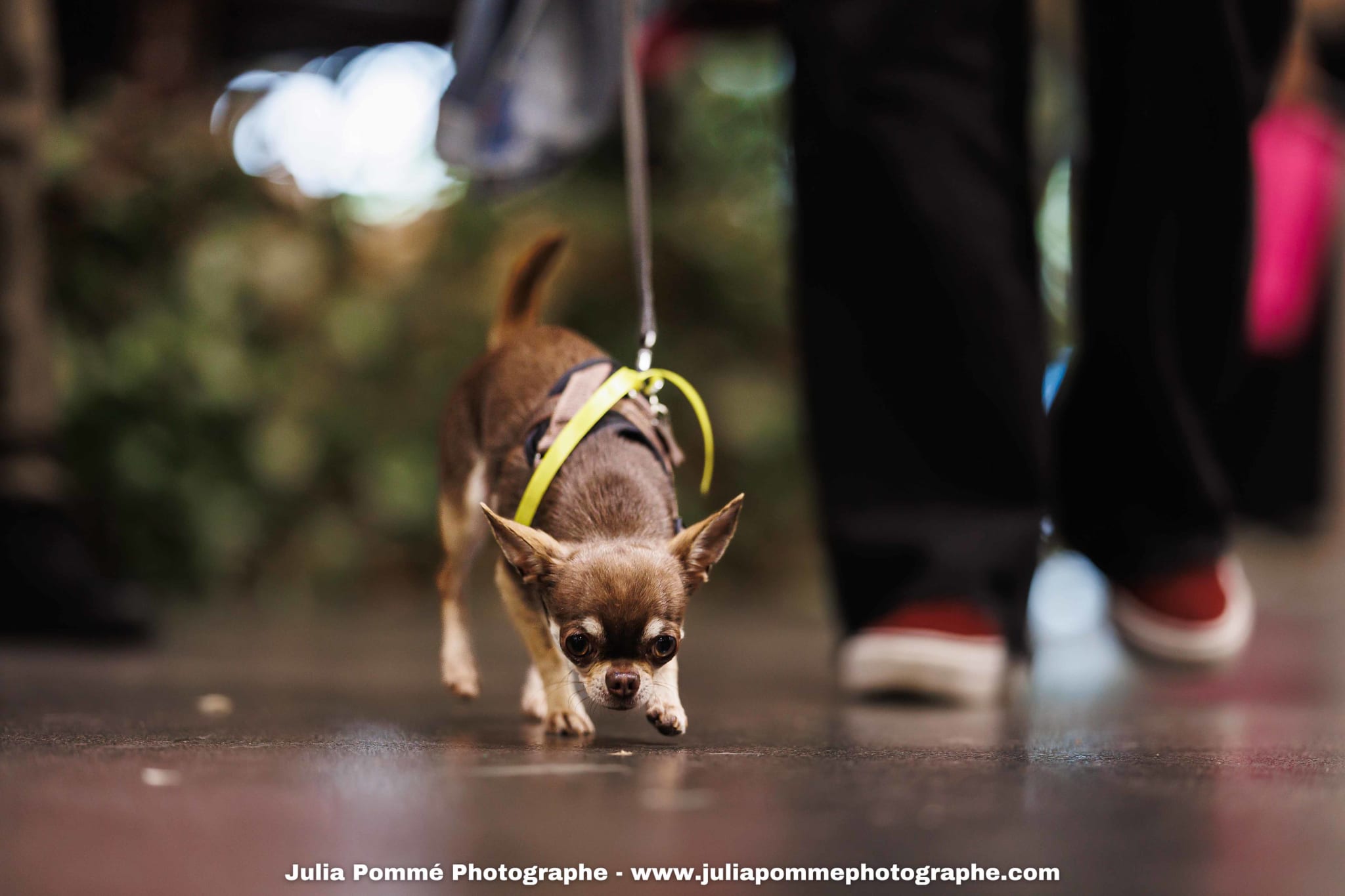 Photo du salon 2025 par Julia Pommé Photographe.