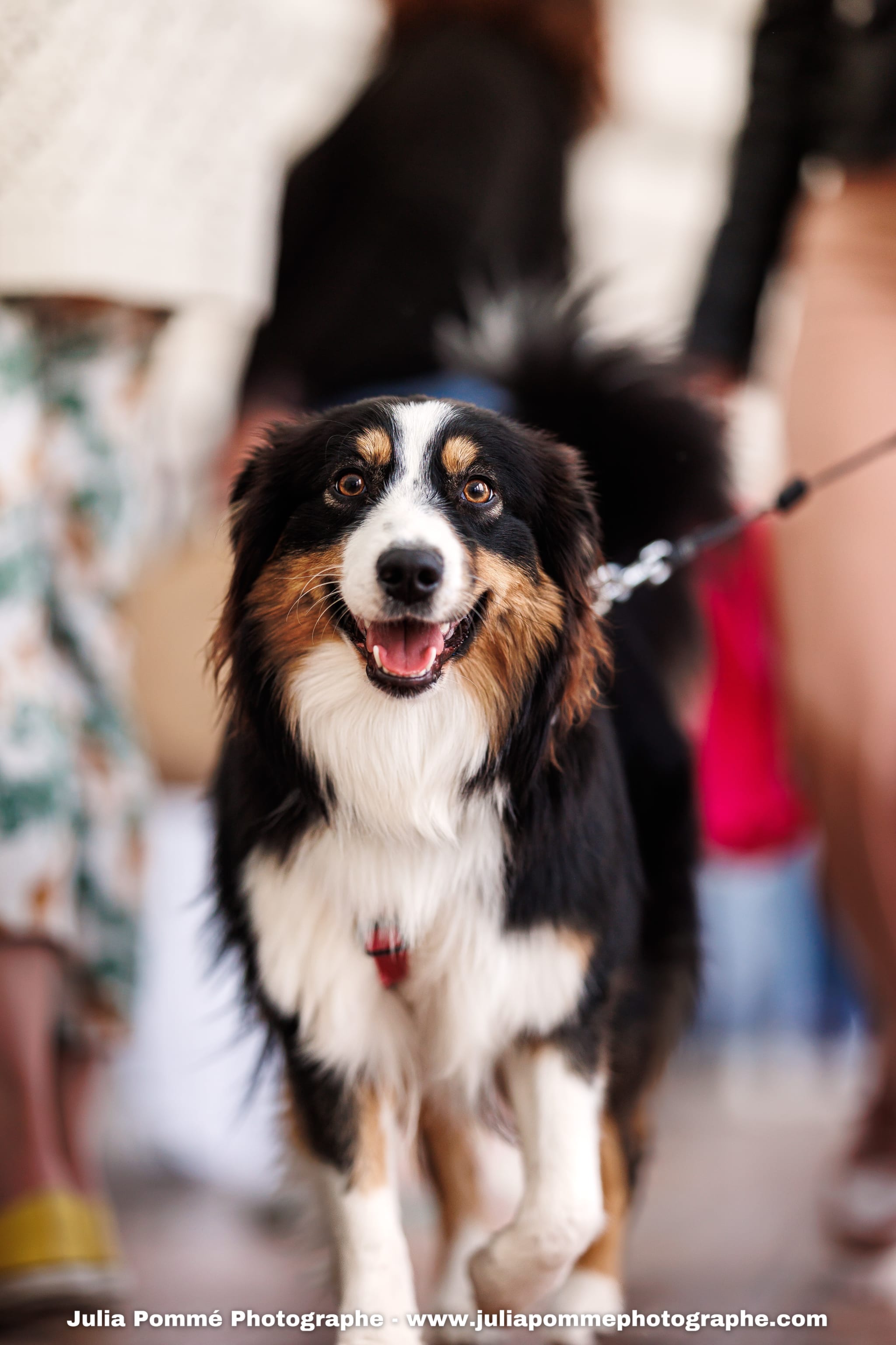 Photo du salon 2025 par Julia Pommé Photographe.