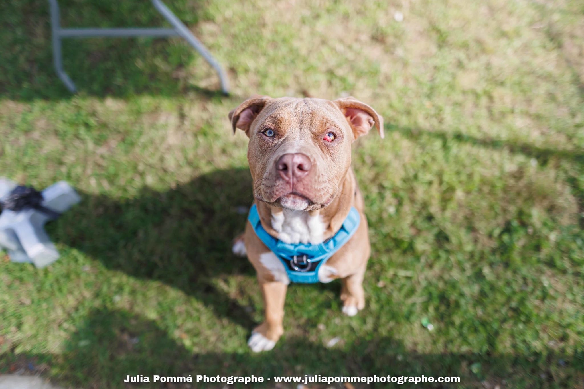 Photo du salon 2025 par Julia Pommé Photographe.