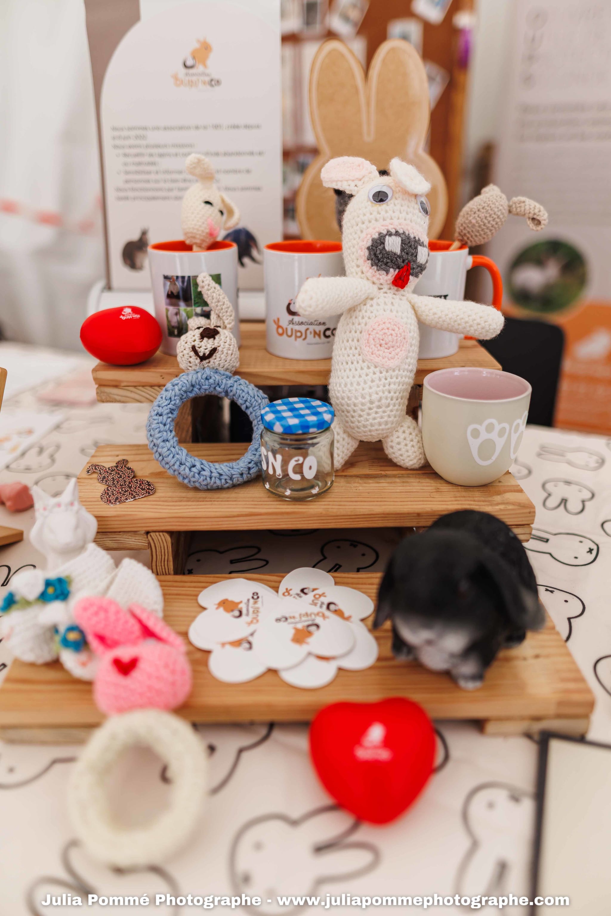 Photo du salon 2025 par Julia Pommé Photographe.