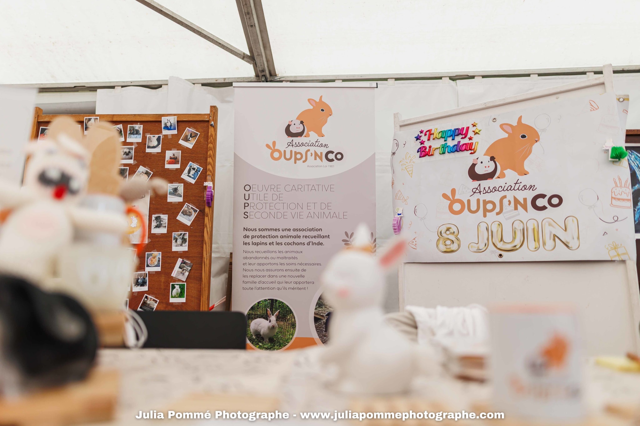 Photo du salon 2025 par Julia Pommé Photographe.