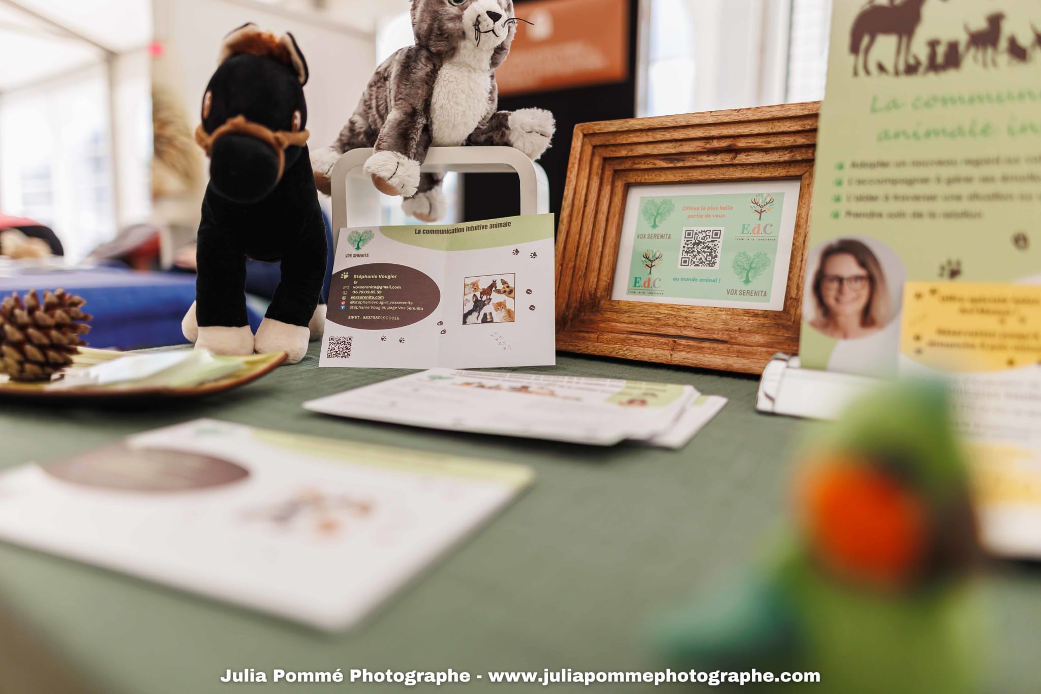 Photo du salon 2025 par Julia Pommé Photographe.