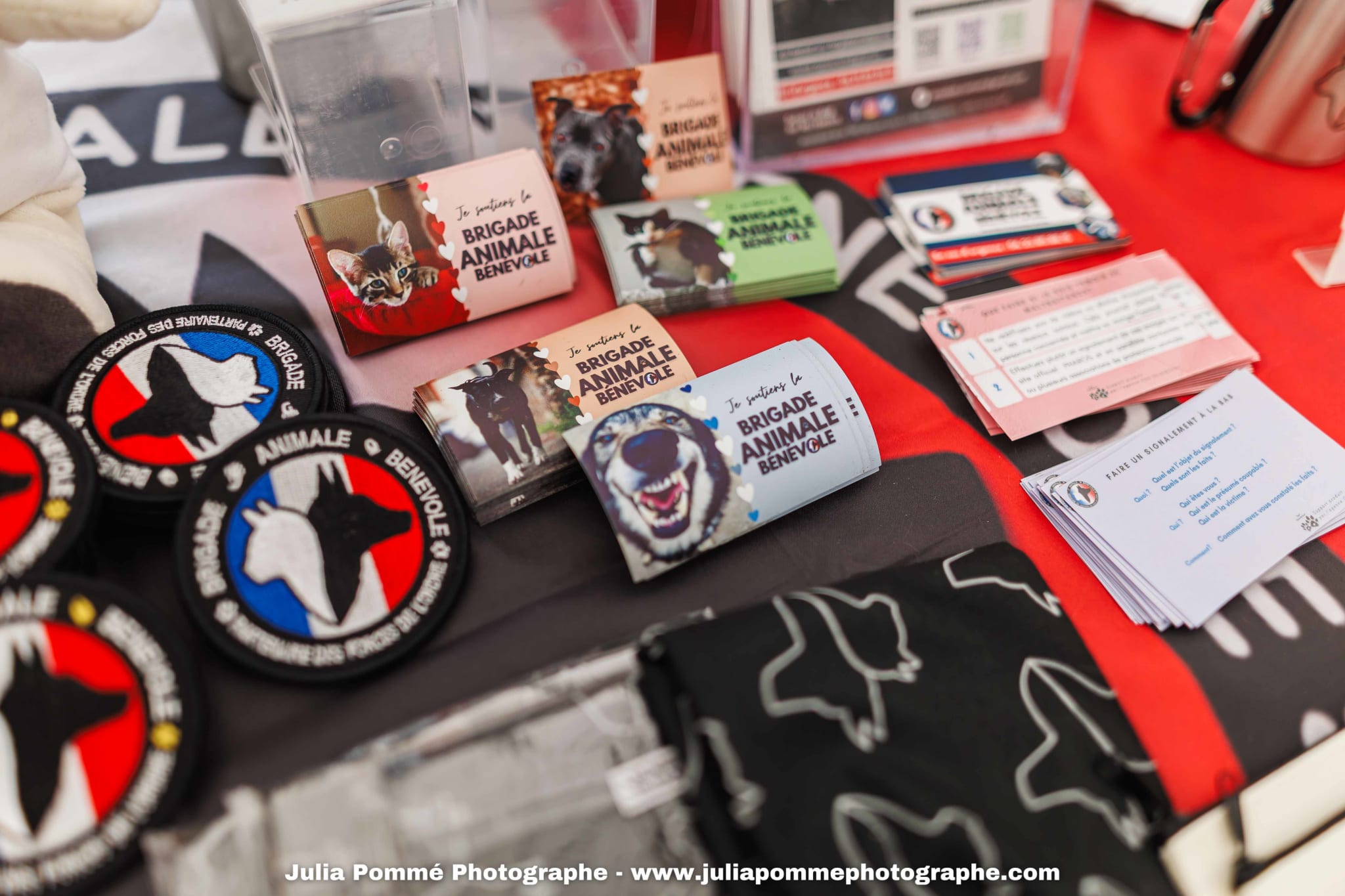 Photo du salon 2025 par Julia Pommé Photographe.