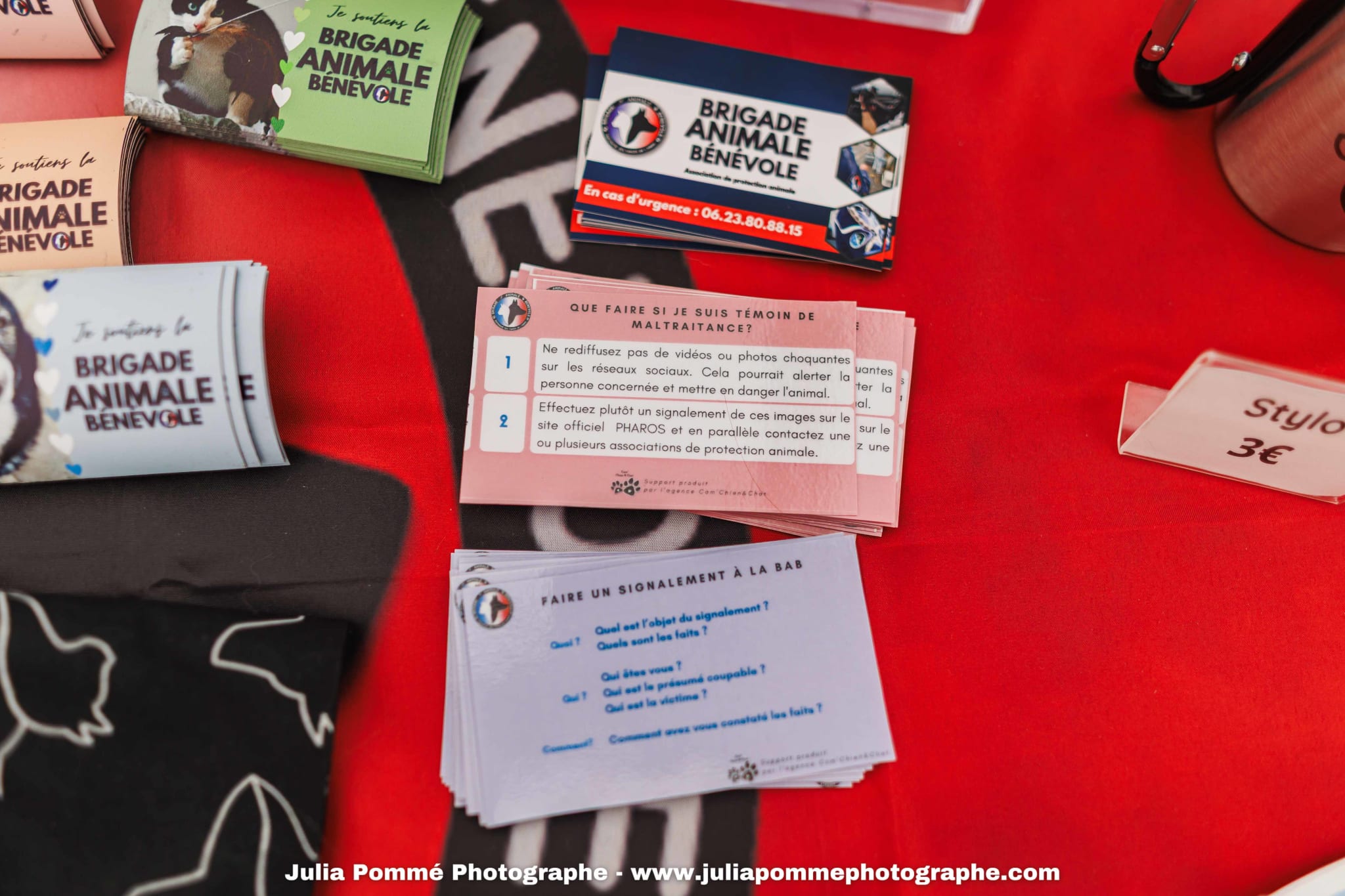 Photo du salon 2025 par Julia Pommé Photographe.