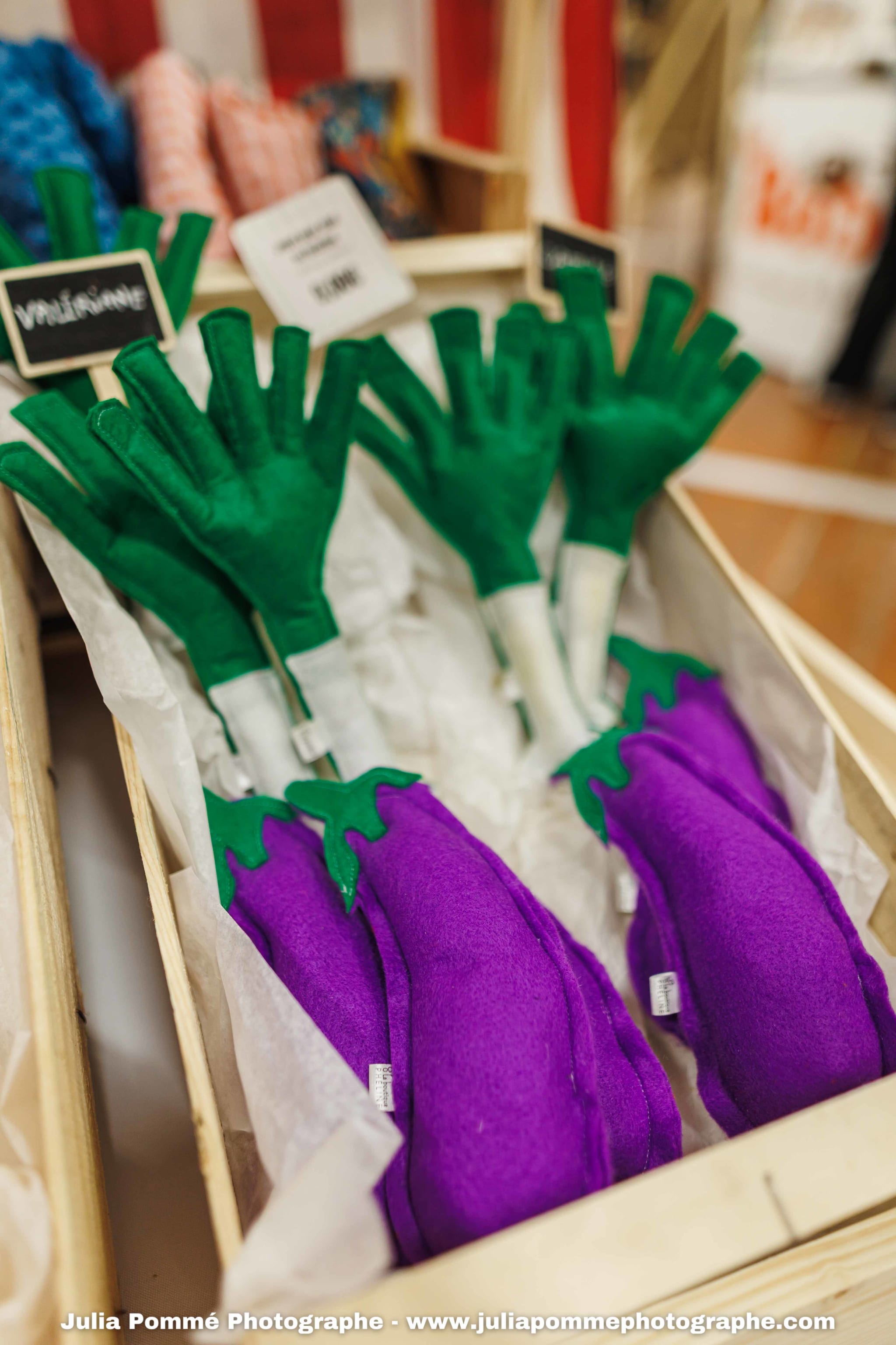 Photo du salon 2025 par Julia Pommé Photographe.