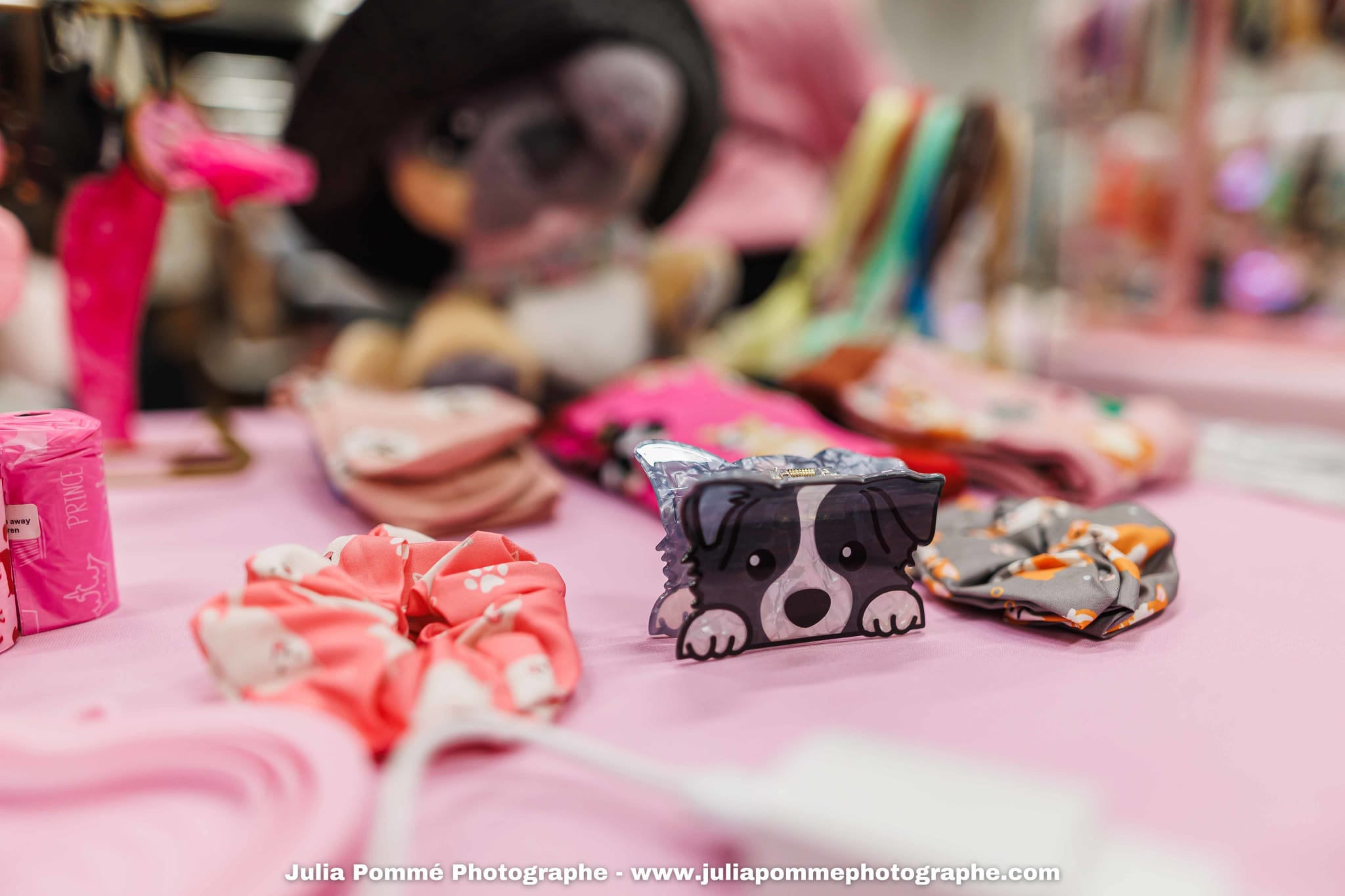 Photo du salon 2025 par Julia Pommé Photographe.