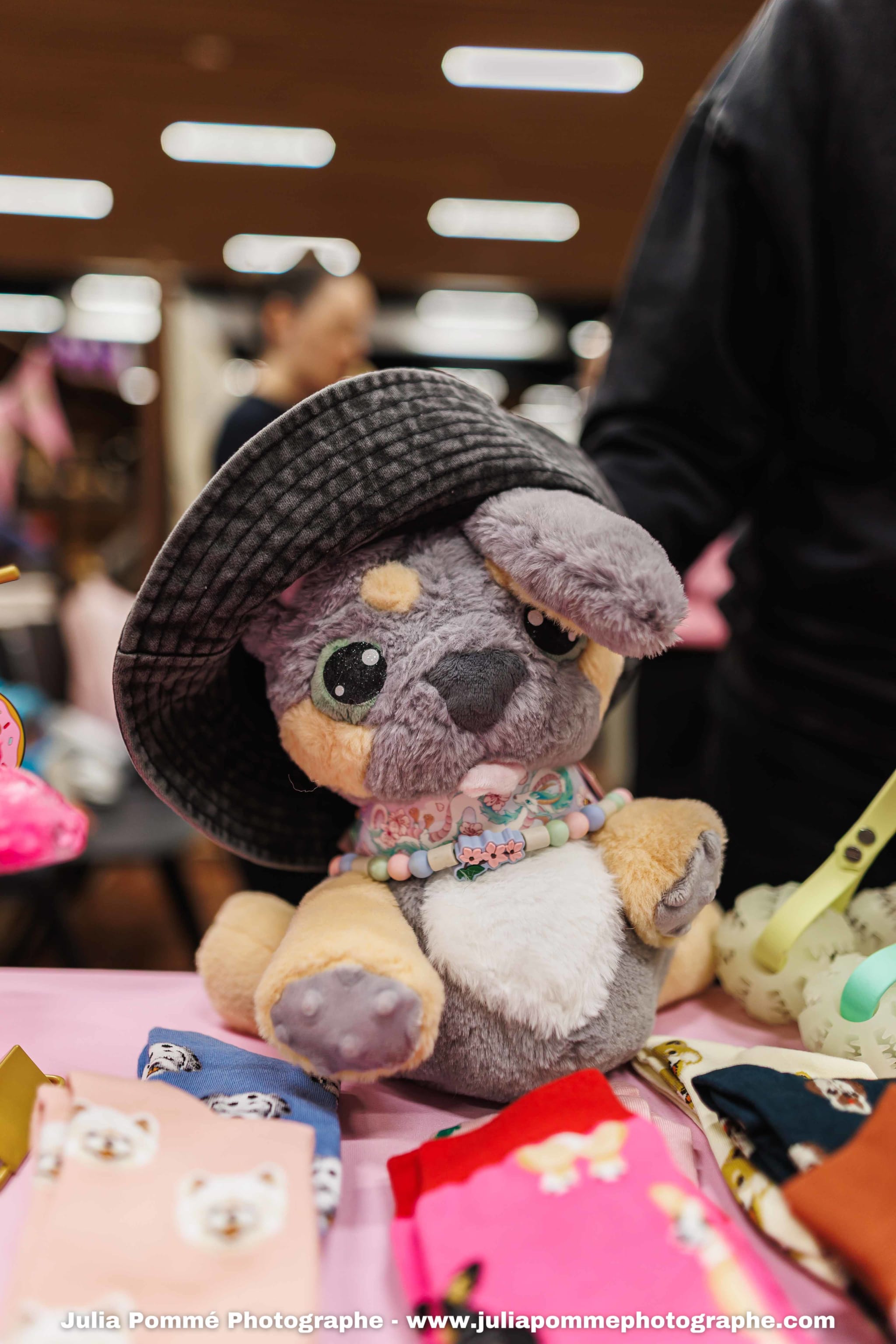 Photo du salon 2025 par Julia Pommé Photographe.