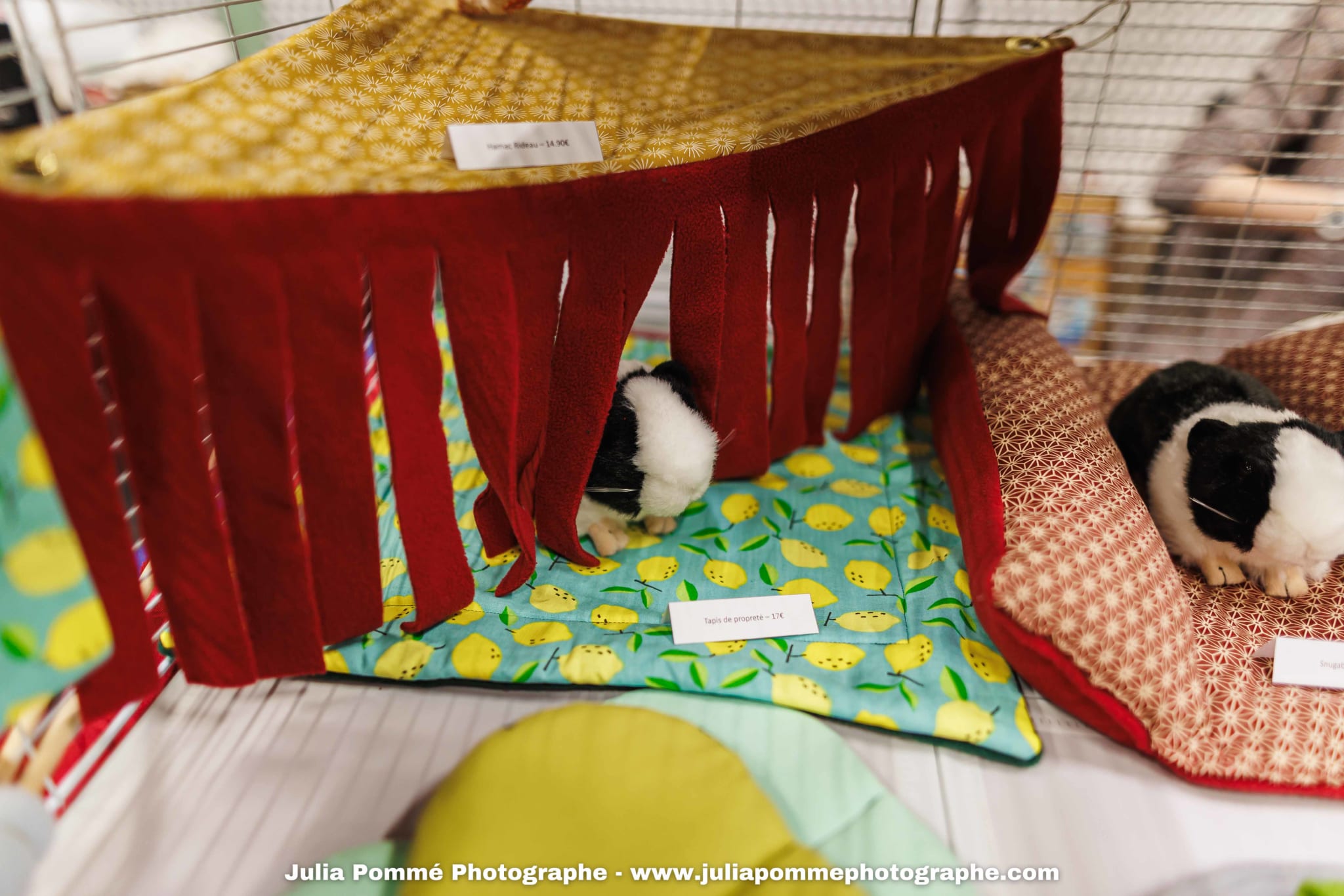 Photo du salon 2025 par Julia Pommé Photographe.