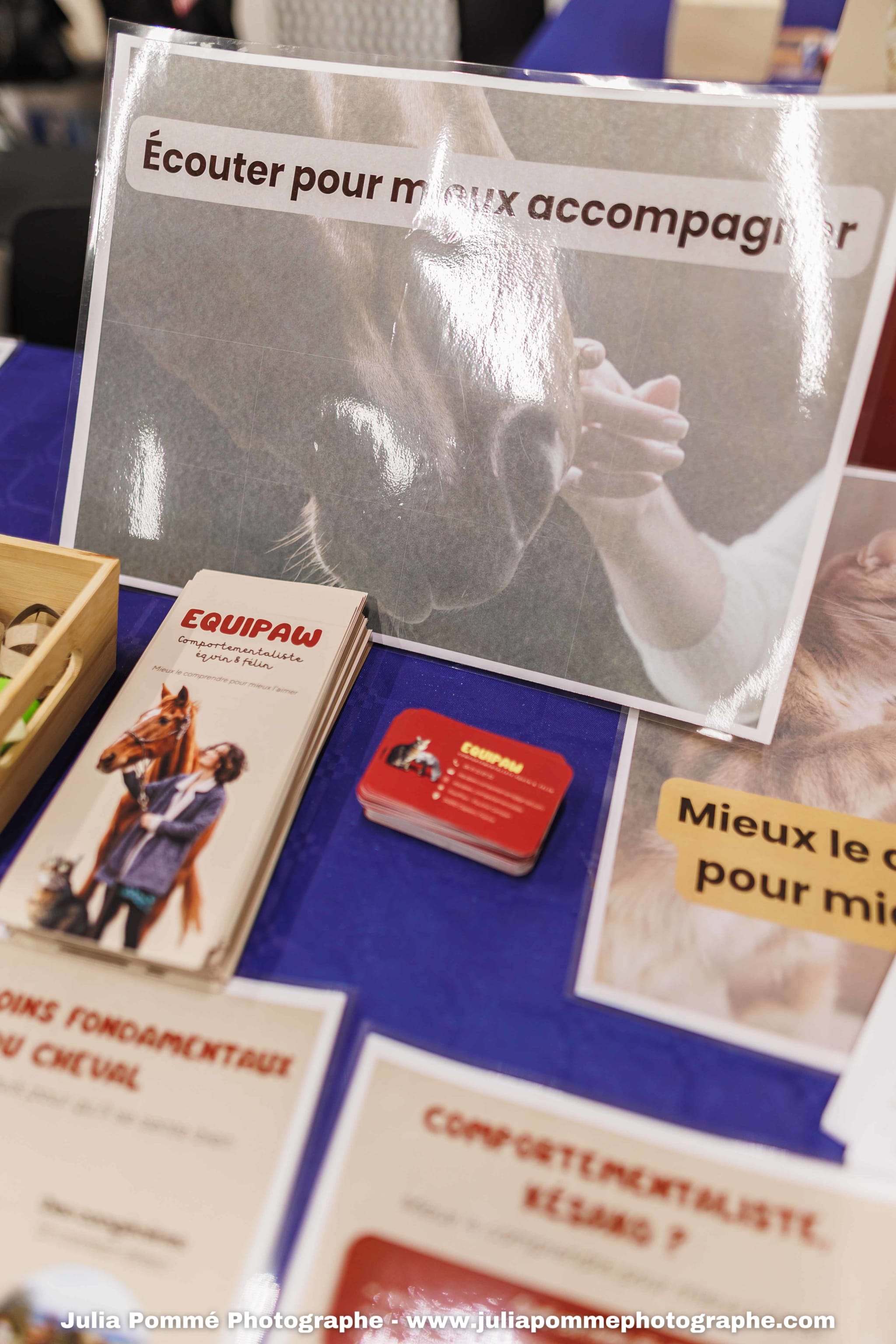 Photo du salon 2025 par Julia Pommé Photographe.