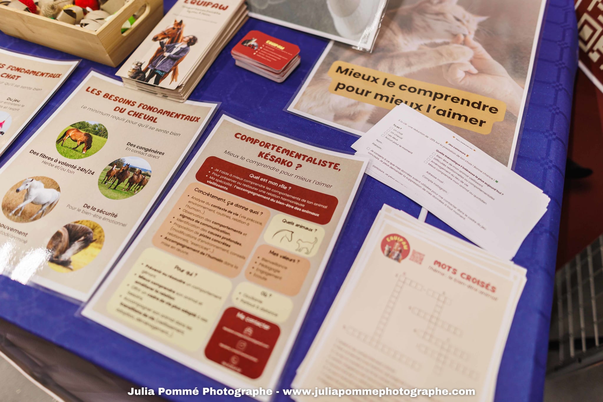 Photo du salon 2025 par Julia Pommé Photographe.