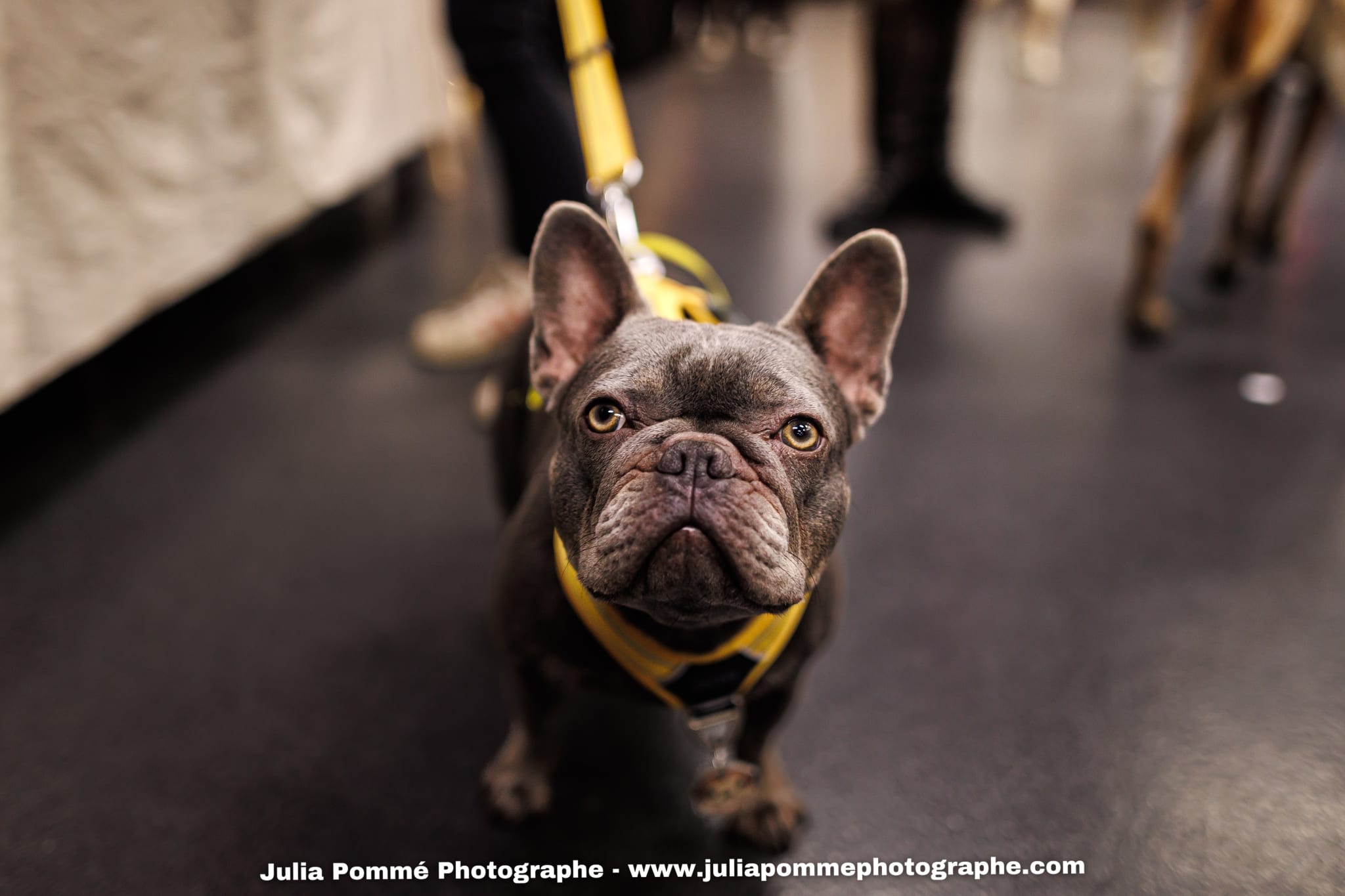 Photo du salon 2025 par Julia Pommé Photographe.