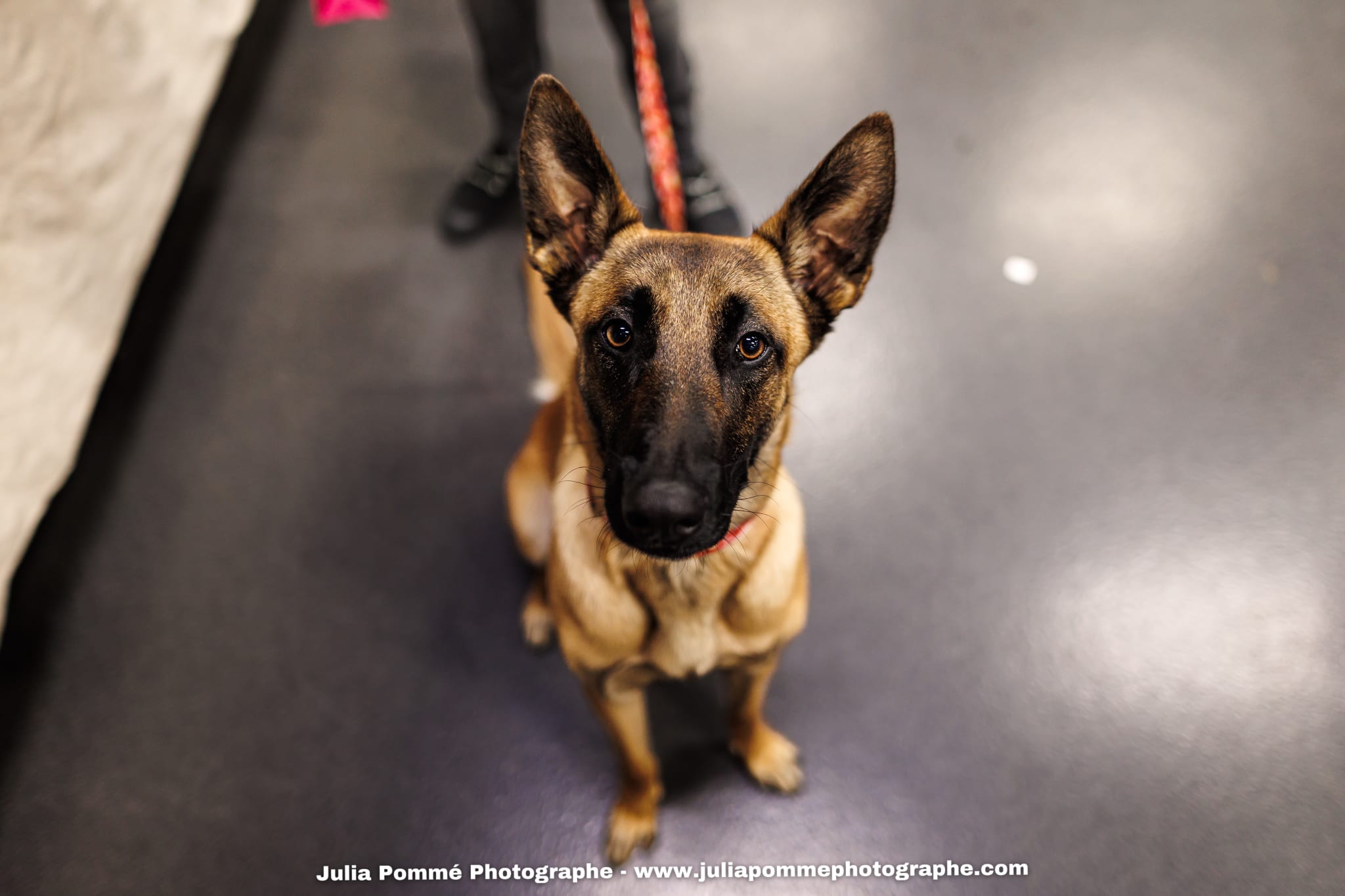 Photo du salon 2025 par Julia Pommé Photographe.