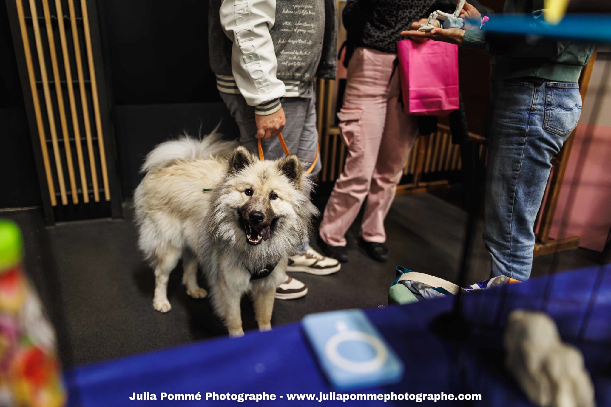 Photo du salon 2025 par Julia Pommé Photographe.