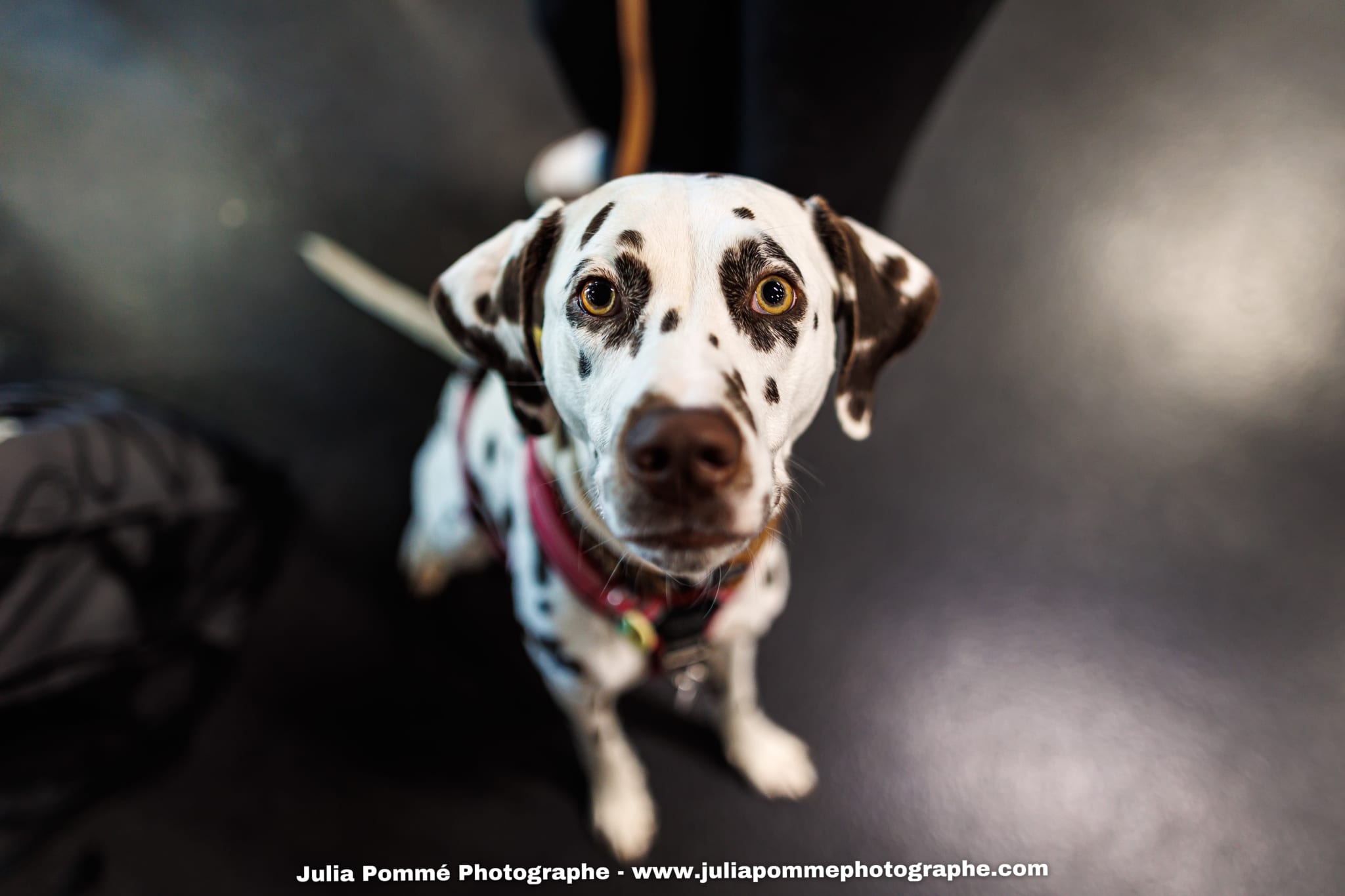 Photo du salon 2025 par Julia Pommé Photographe.