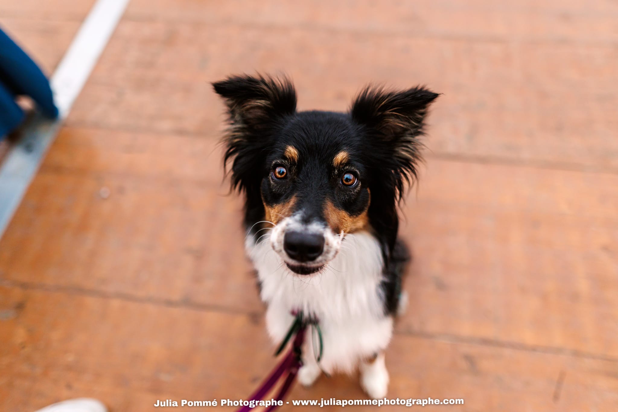Photo du salon 2025 par Julia Pommé Photographe.