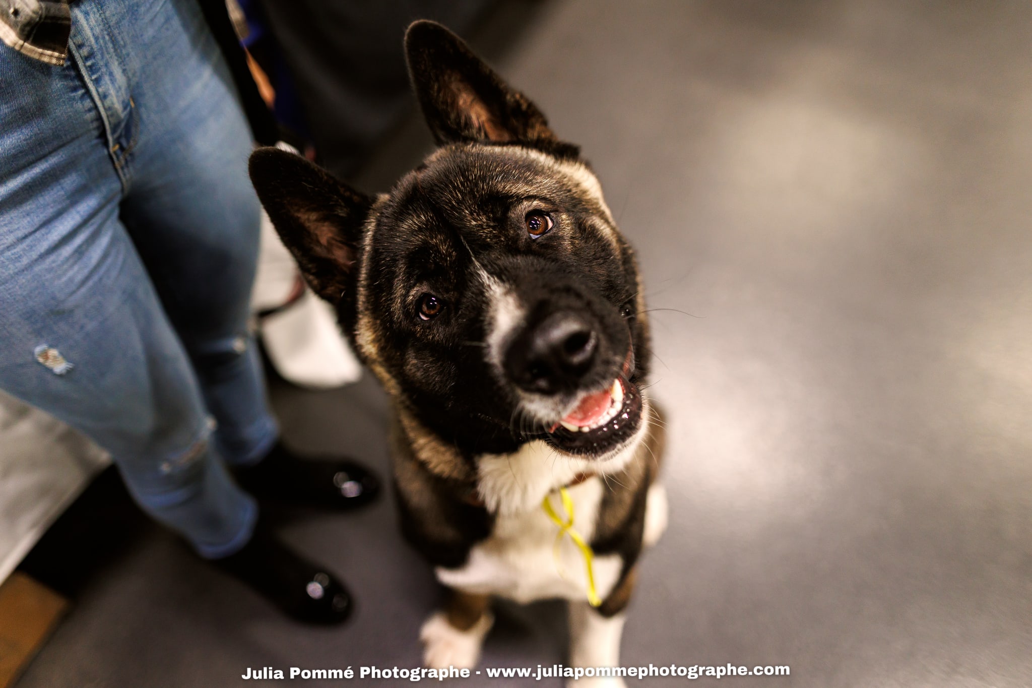 Photo du salon 2025 par Julia Pommé Photographe.