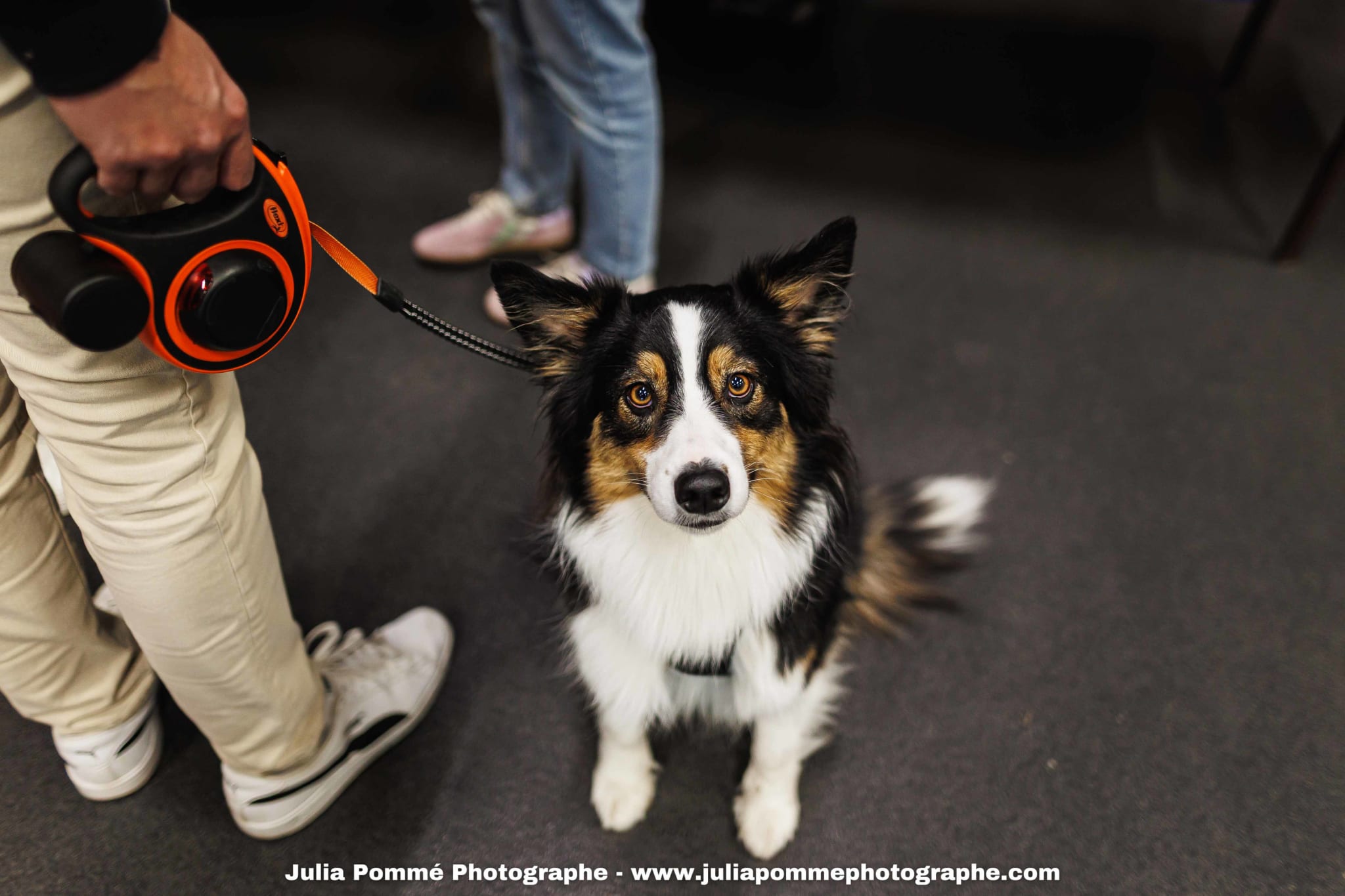 Photo du salon 2025 par Julia Pommé Photographe.