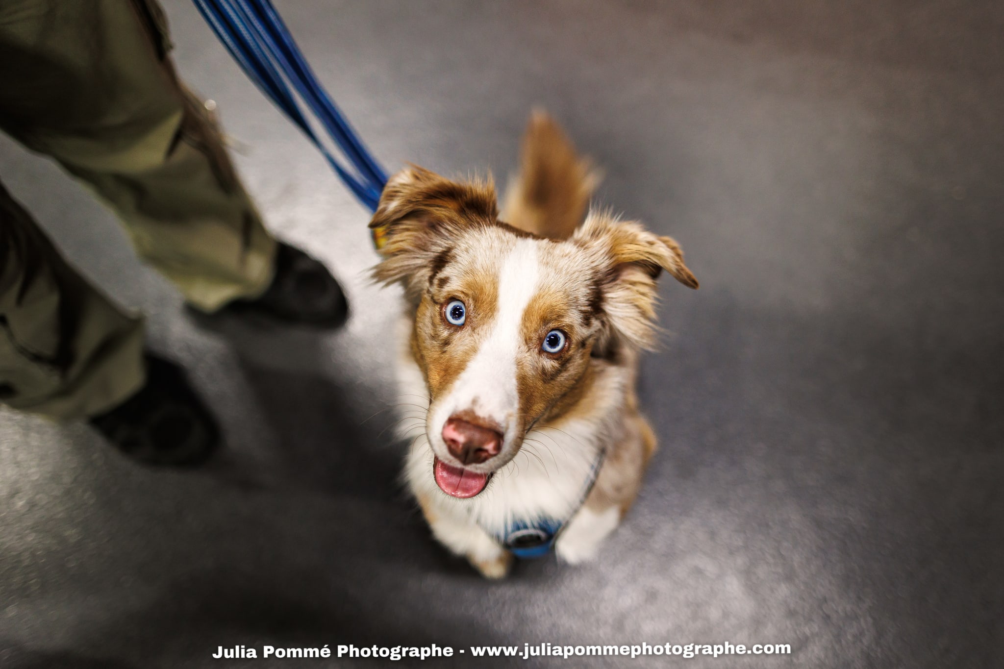 Photo du salon 2025 par Julia Pommé Photographe.